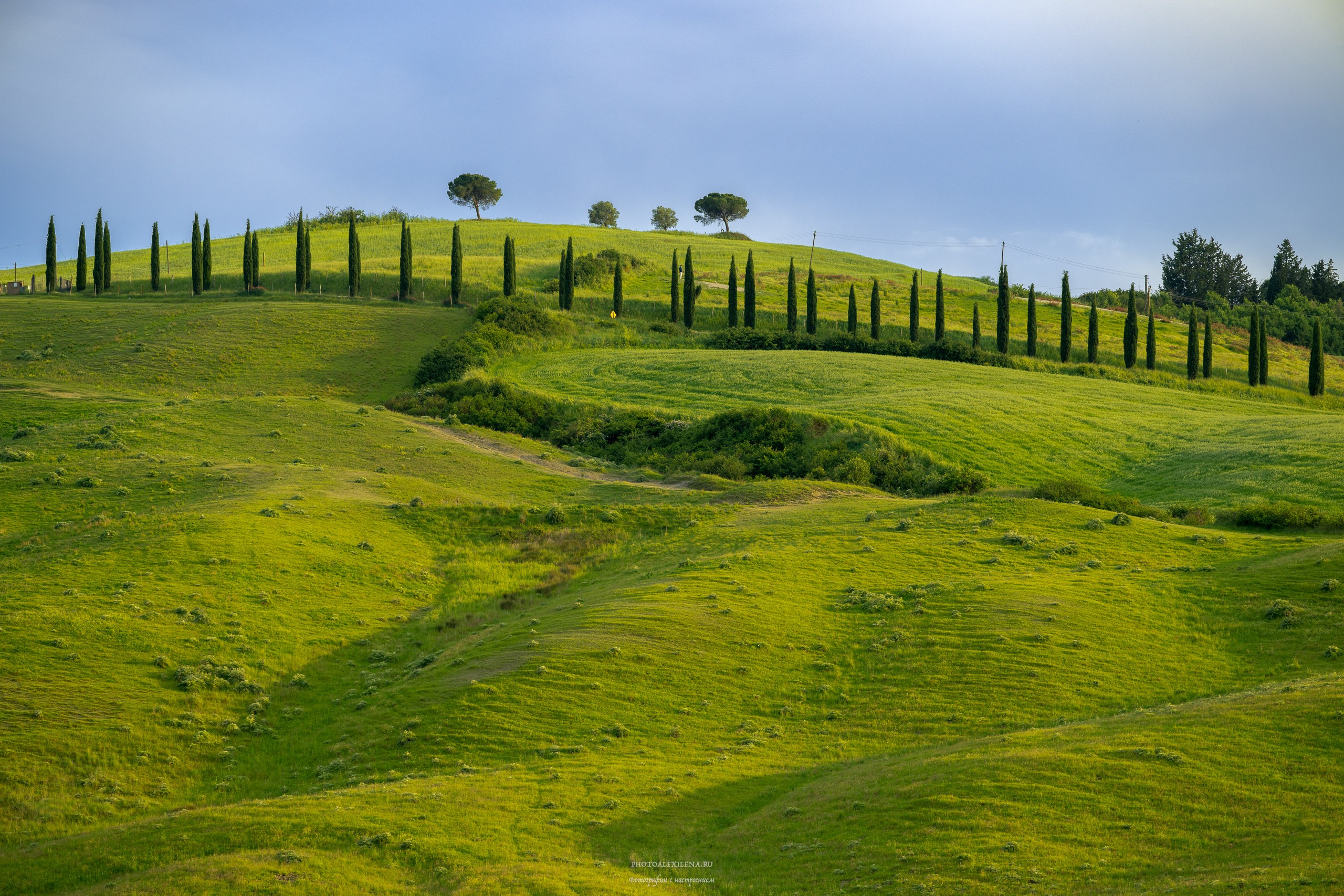 Долина Крете Сенези (Crete Senesi). Авторские стильные фотокартины
