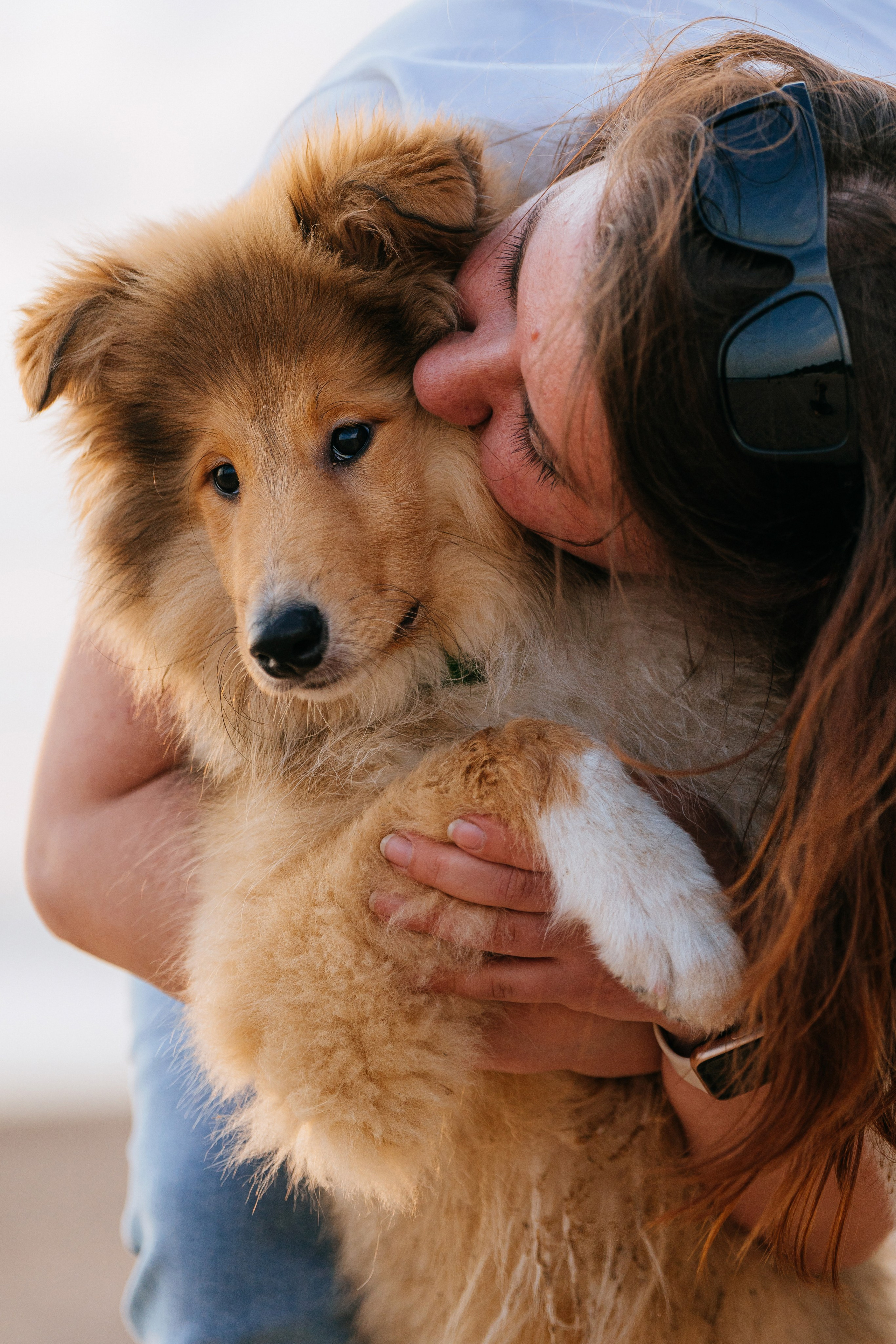 Фотосессия со щенками колли. Фотограф анималист в Спб недорого Олеся Майорова