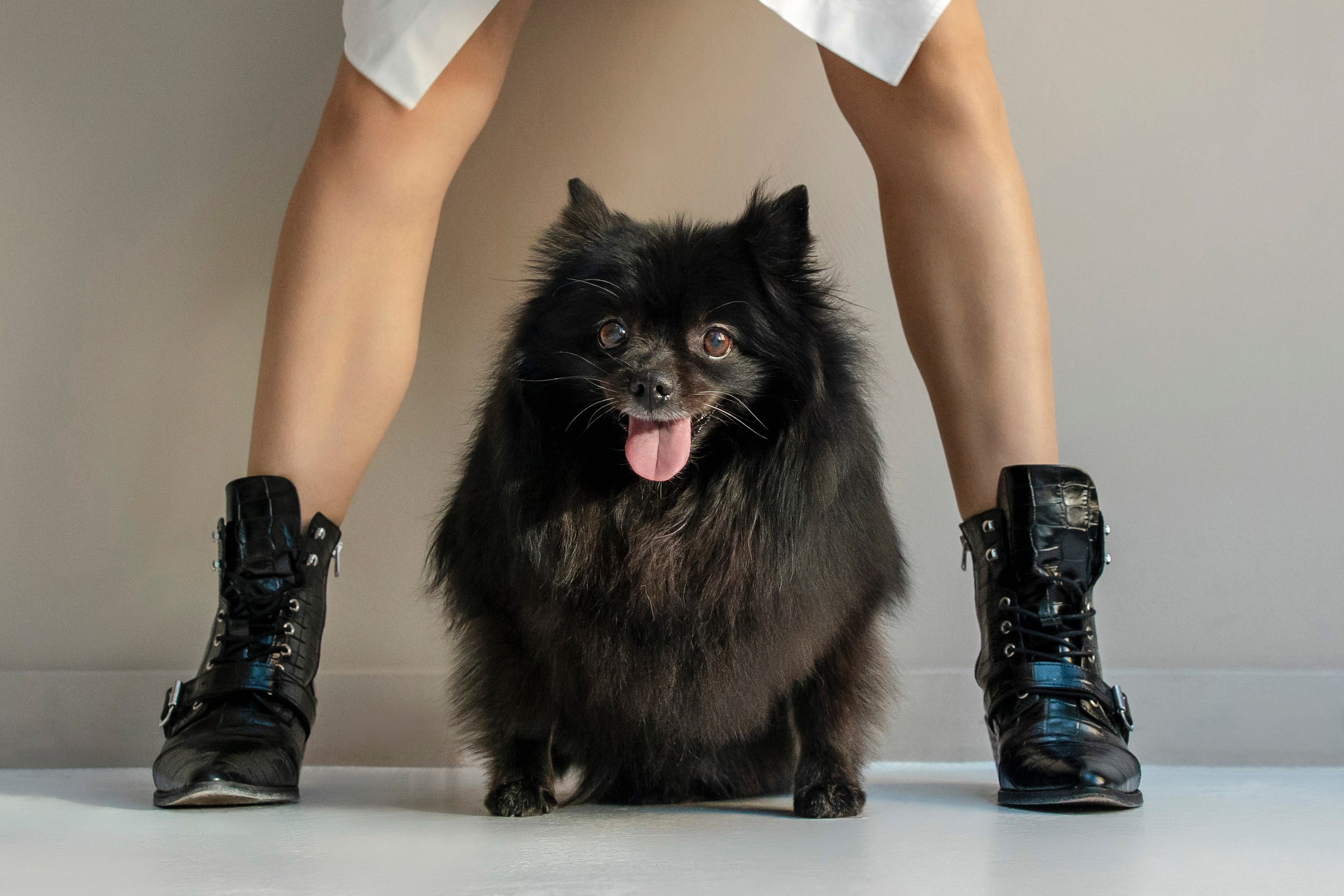 Анастасия Белаш