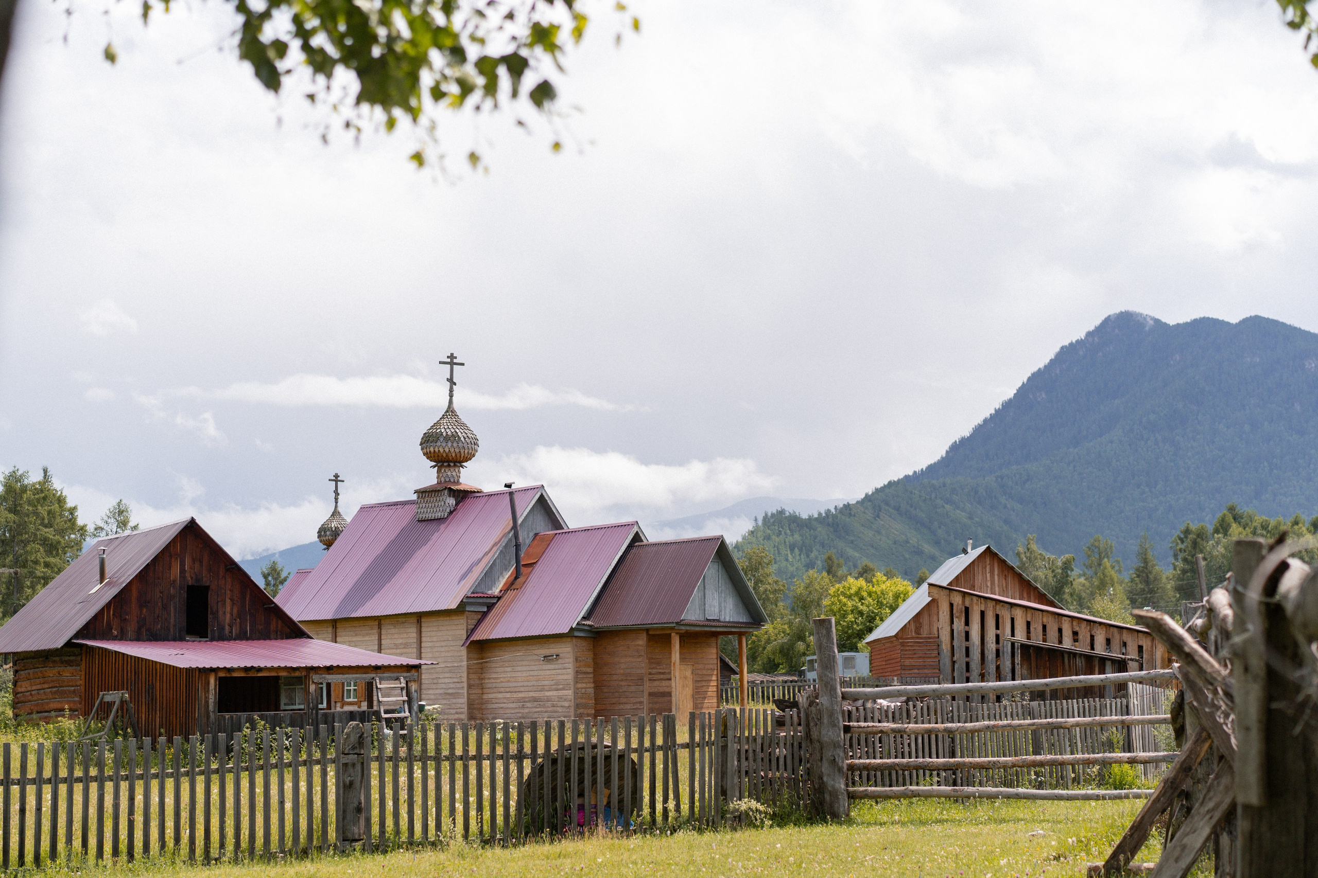 Алтай 2025. Лиза Фирстова