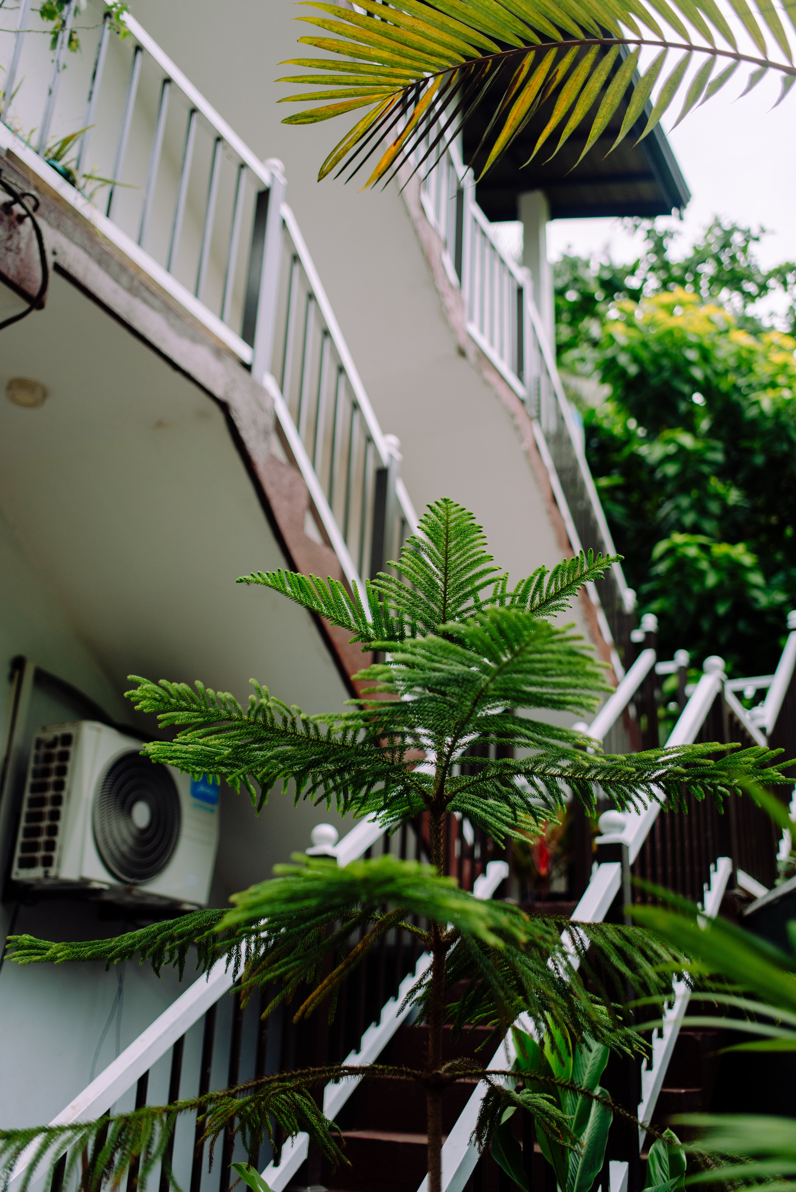 Из лета в лето. Семейный и свадебный фотограф в Рязани Лиза Голованова