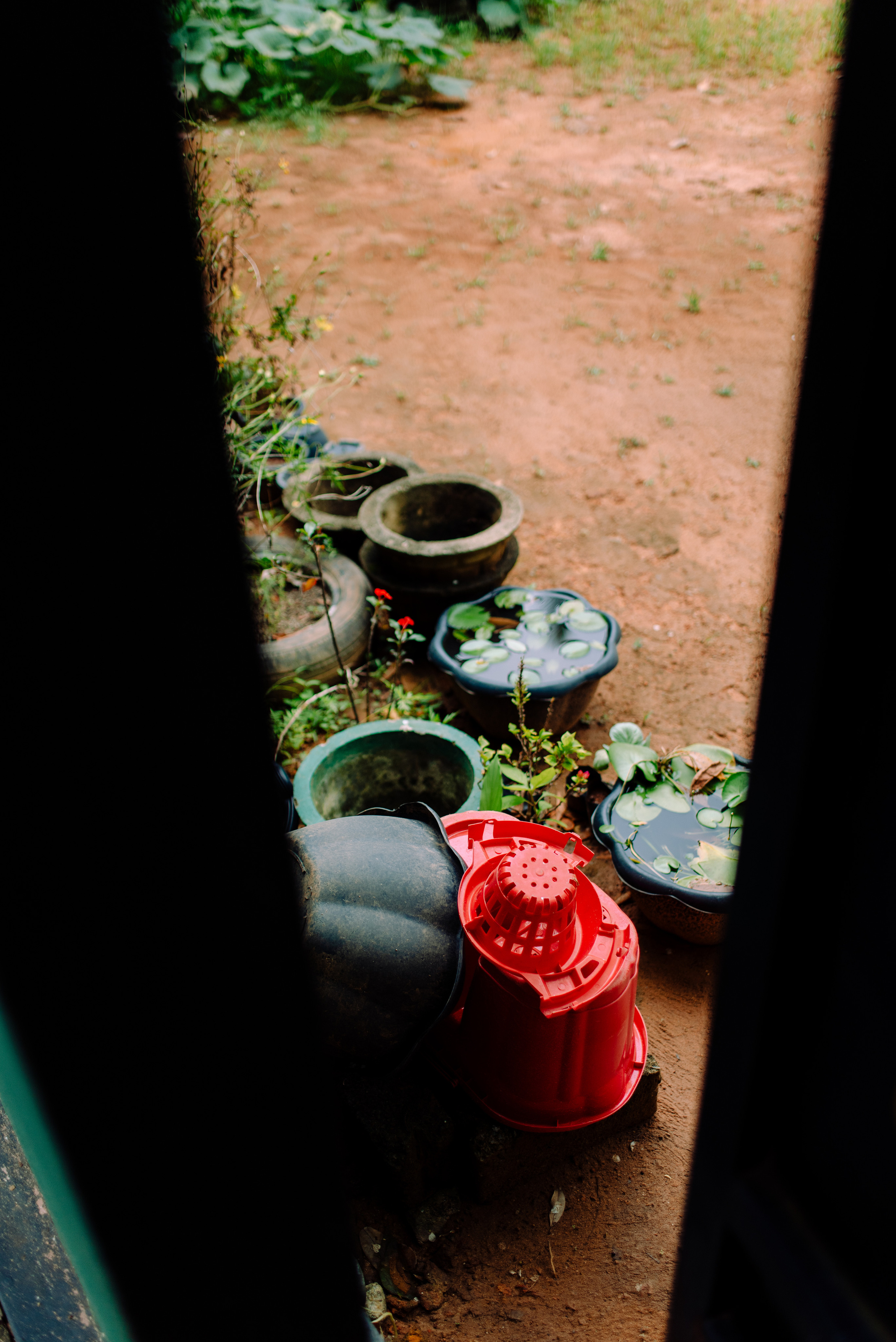 Из лета в лето. Семейный и свадебный фотограф в Рязани Лиза Голованова