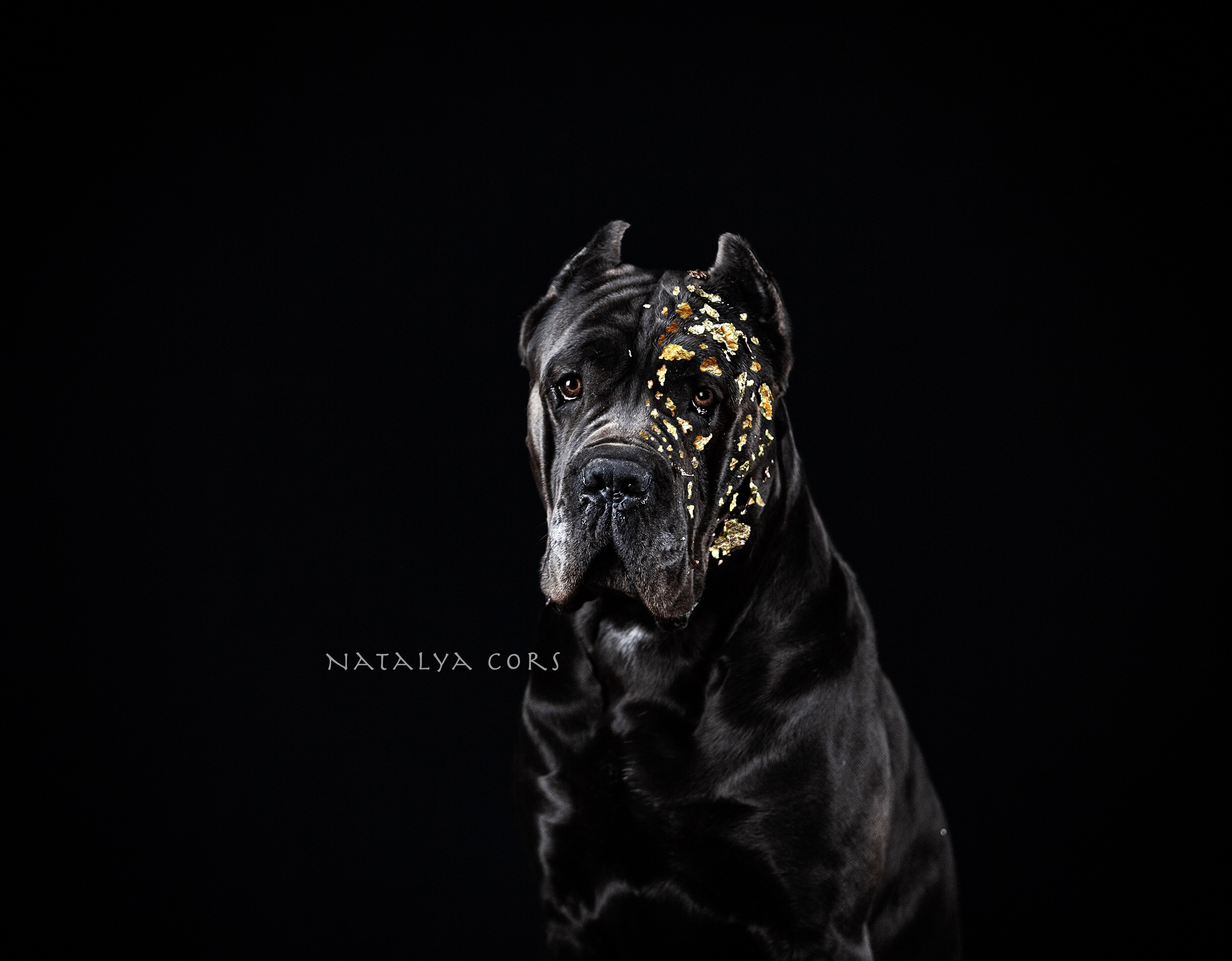 Фотограф Анималист Наталья Корс Екатеринбург