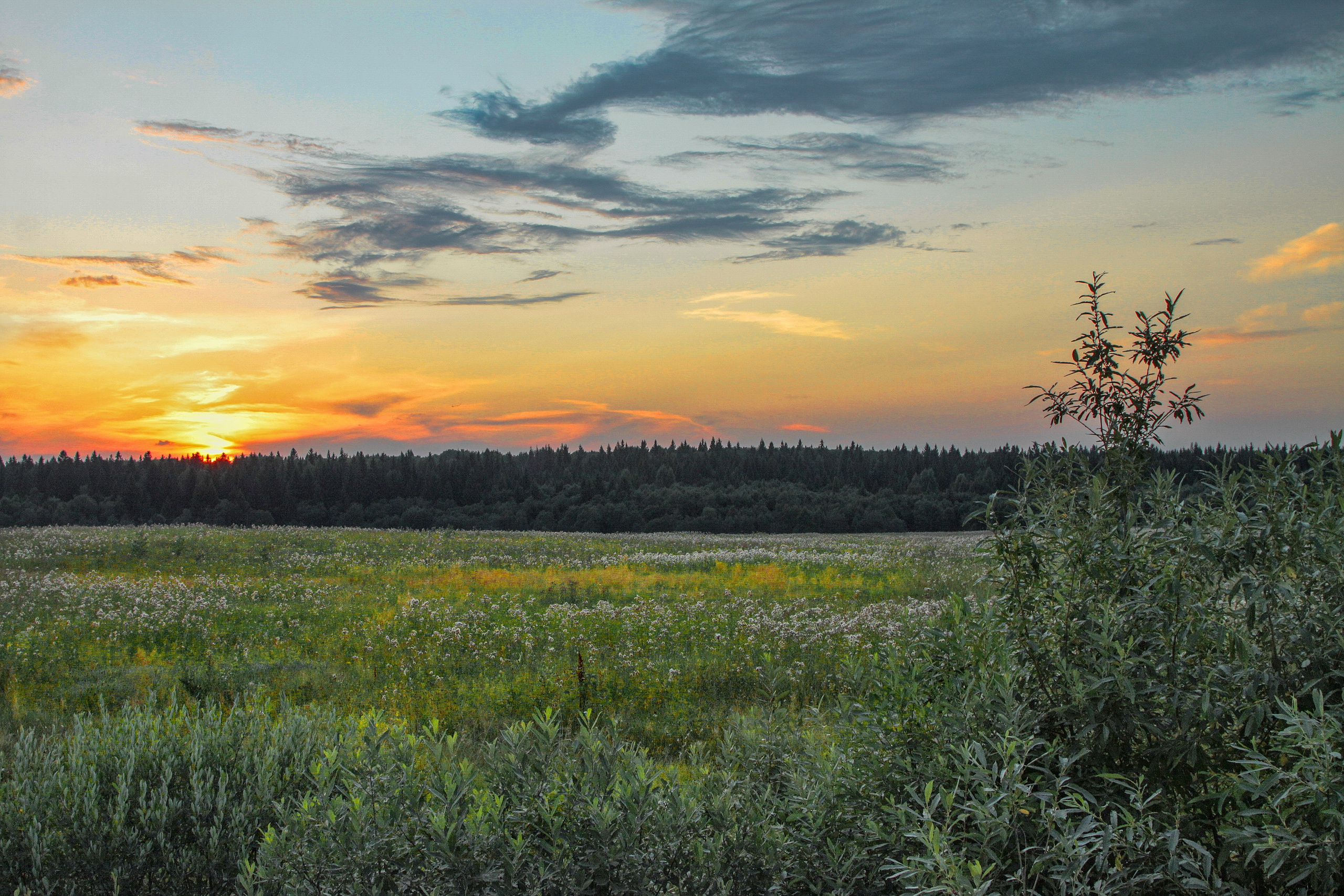 Тишина. Свадьбы, портретная, предметная съемка. Фотограф Александр К