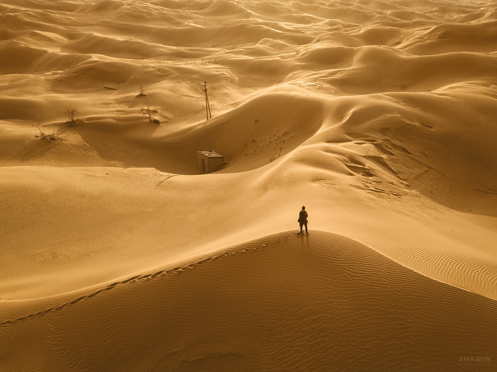 Проект 365. Фотограф Константин Шамин