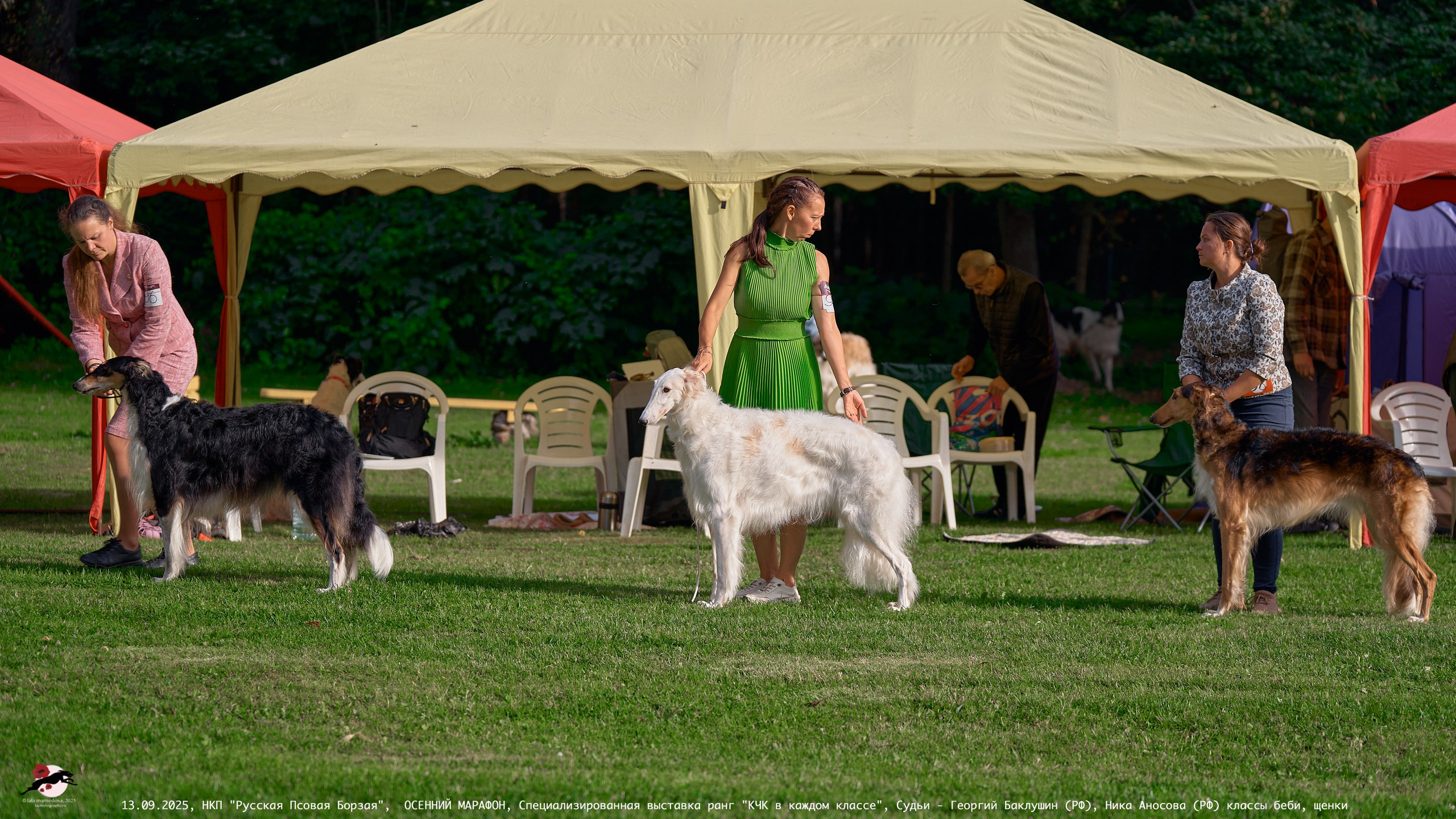 ОСЕННИЙ МАРАФОН | Специализированная выставка породы Русская Псовая Борзая ранг "КЧК в каждом классе"