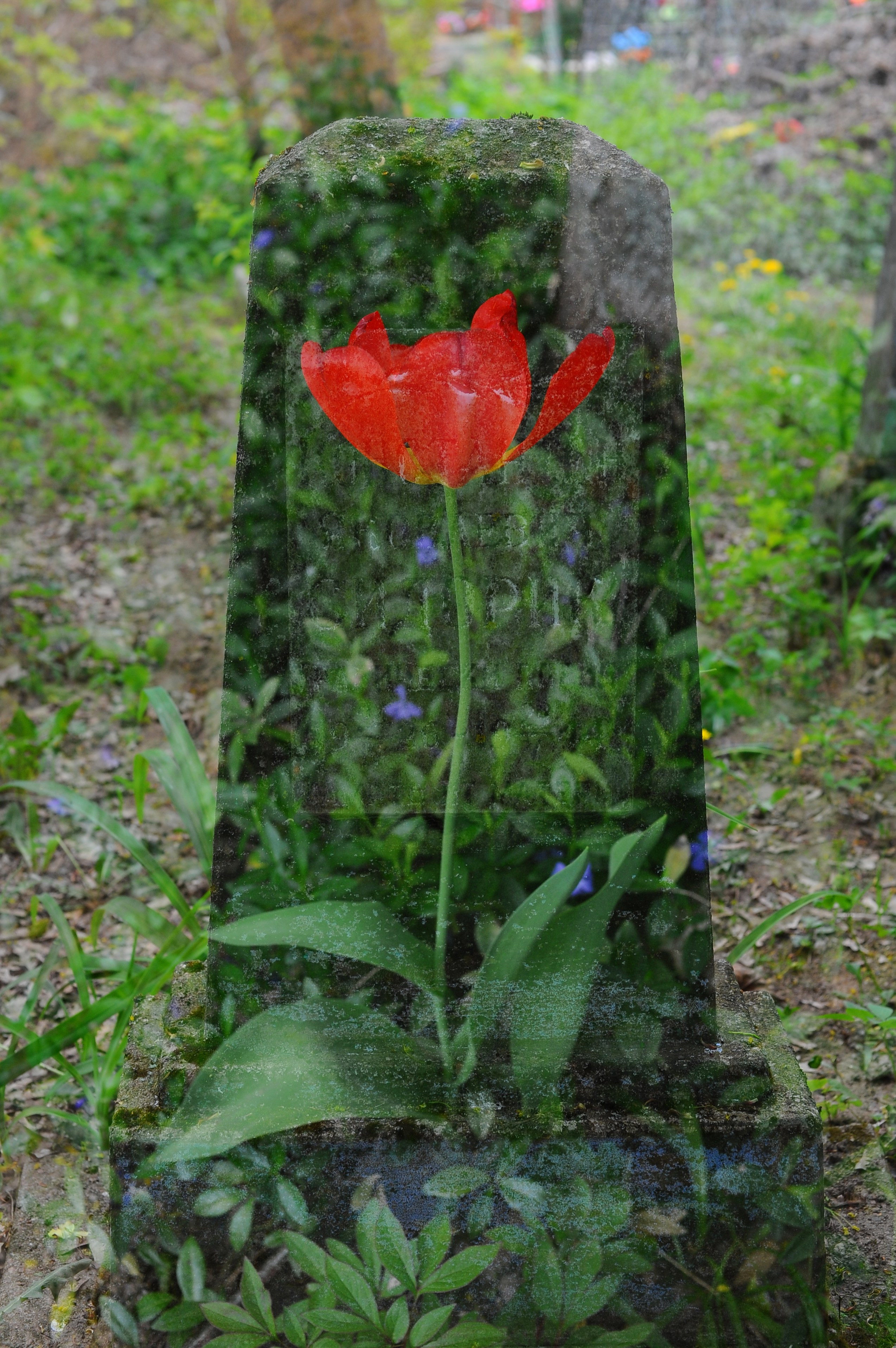 MEMENTO VITAE. Anastasia Segrenyova photography