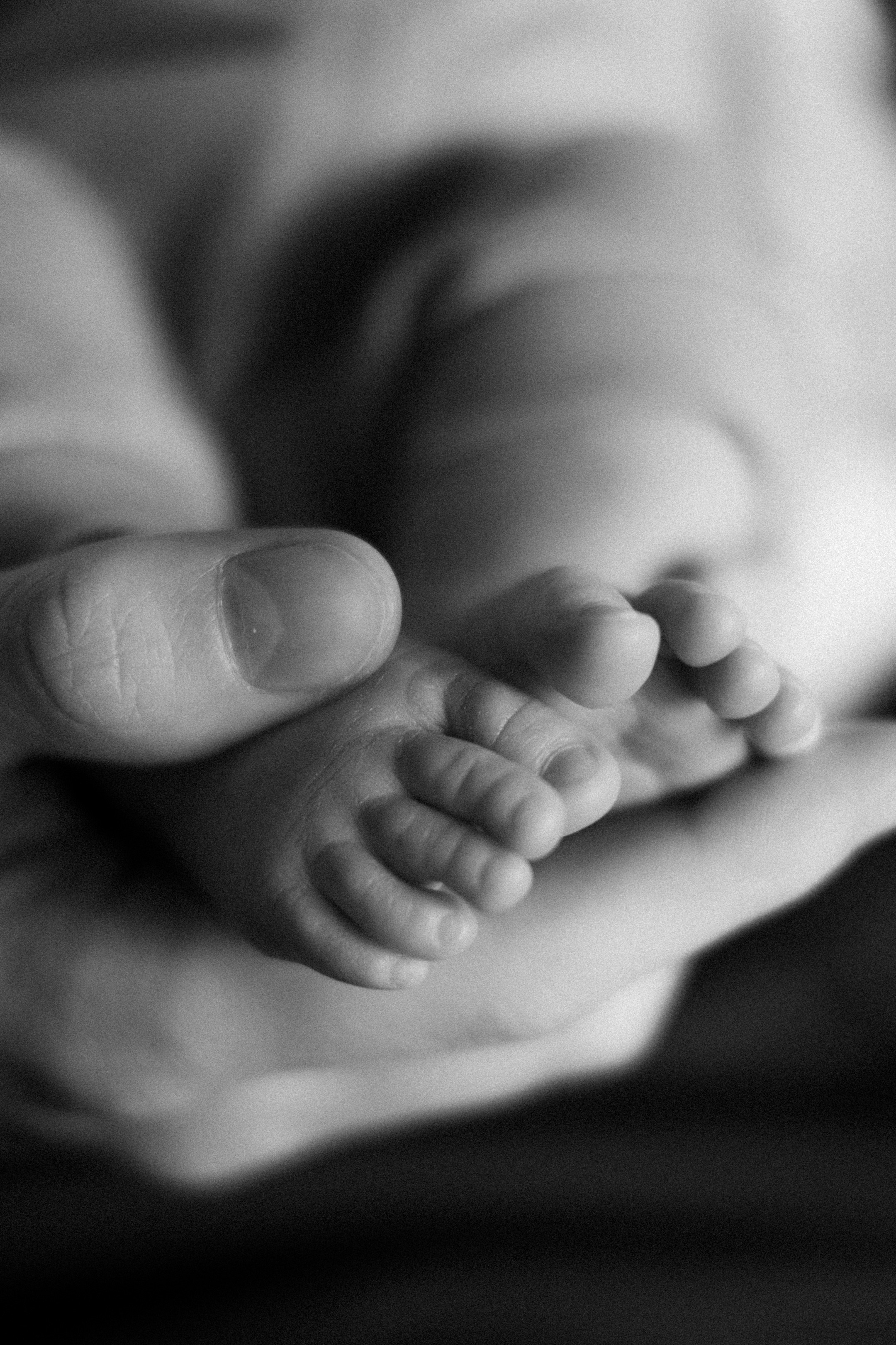 Фотограф Колоколова Дарья | Москва