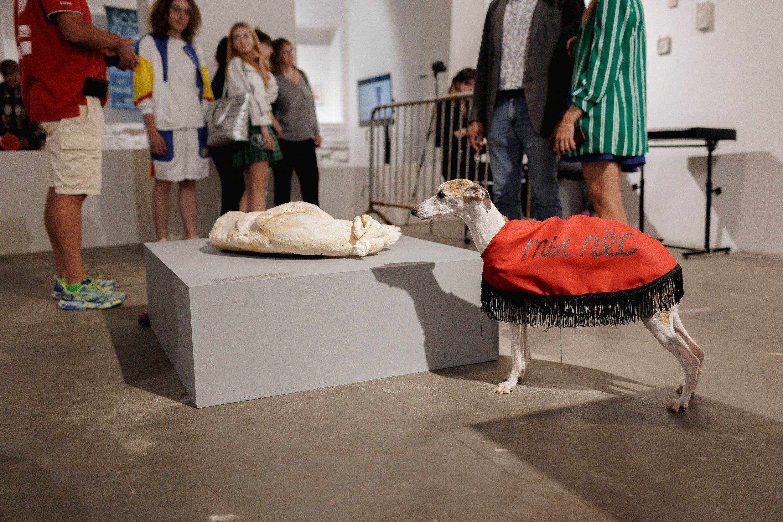 Жив был пёс. Собачий художник Поля Стриж