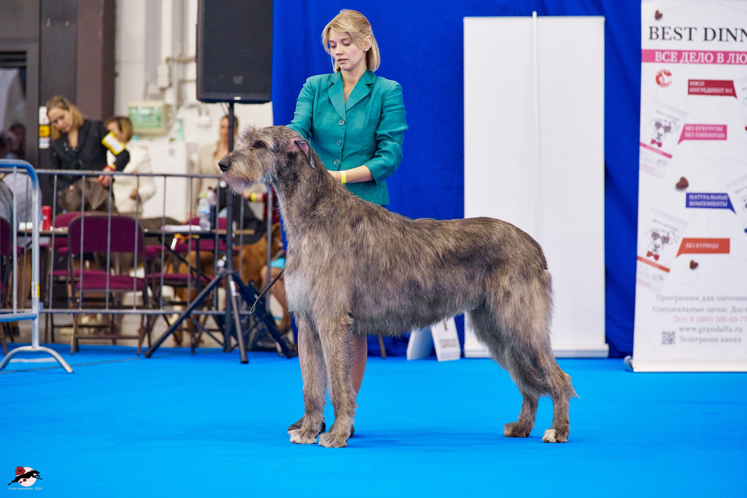 ГРАН ПРИ «ВЕСЕННИЙ ПЕТЕРБУРГ» & «СУПЕР КУБОК «ЭЛИТЫ»-2025»