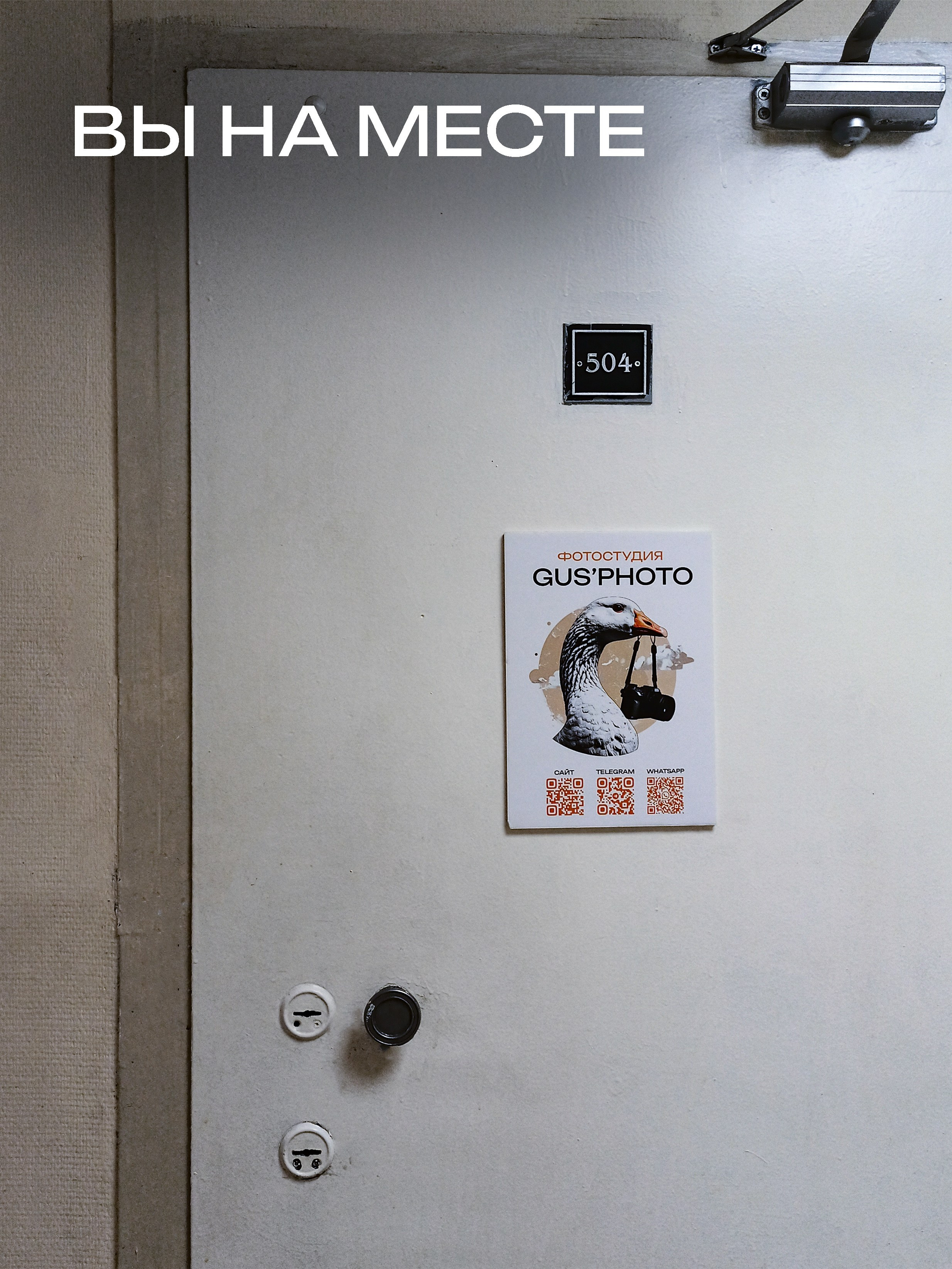 Предметный фотограф, профессиональное оборудование, съемка для маркетплейсов, каталогов, сайтов и соцсетей. Предметная фотосъемка в СПб | Gus'Photo