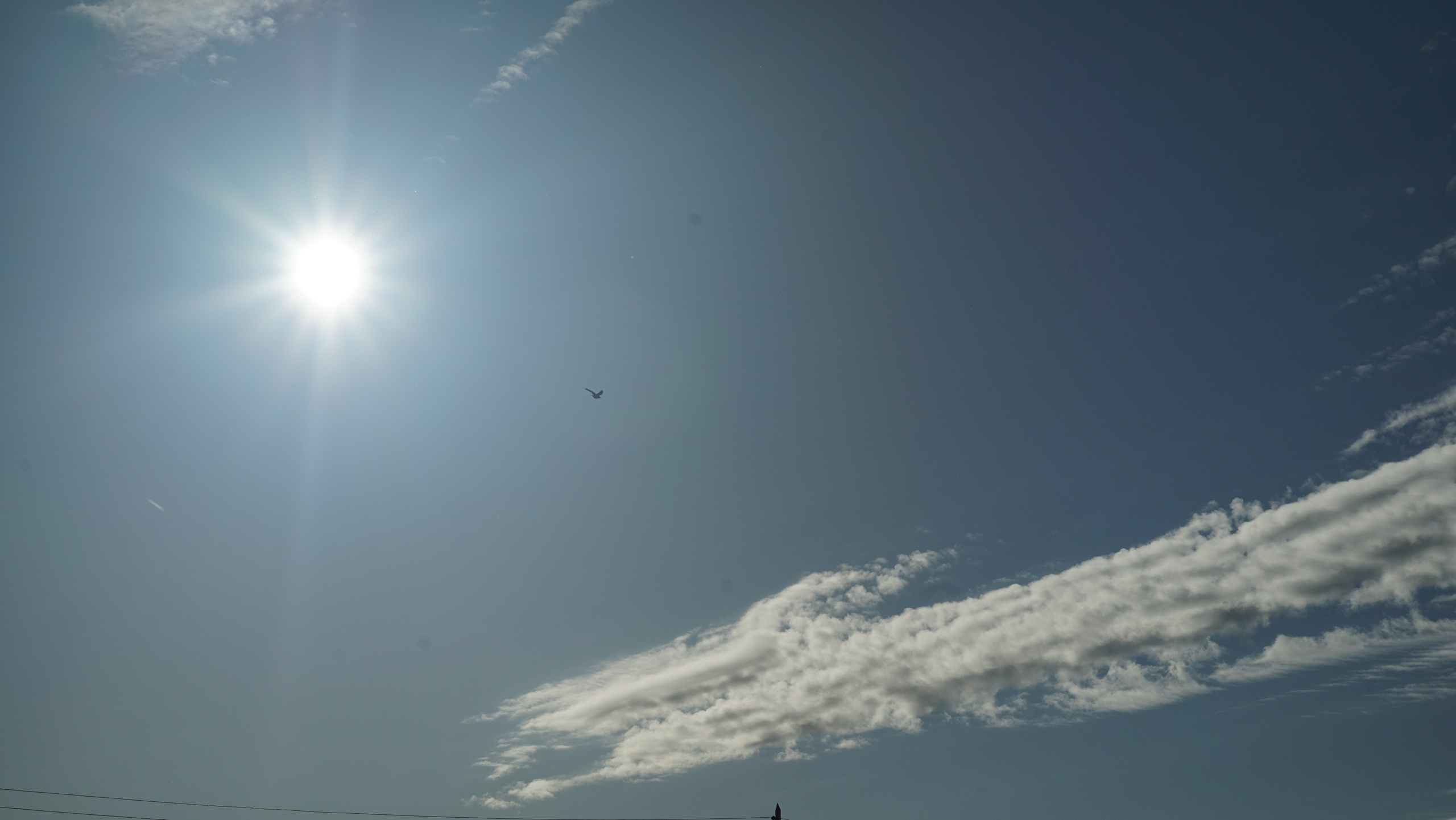 Вся красота мира в одной картинке