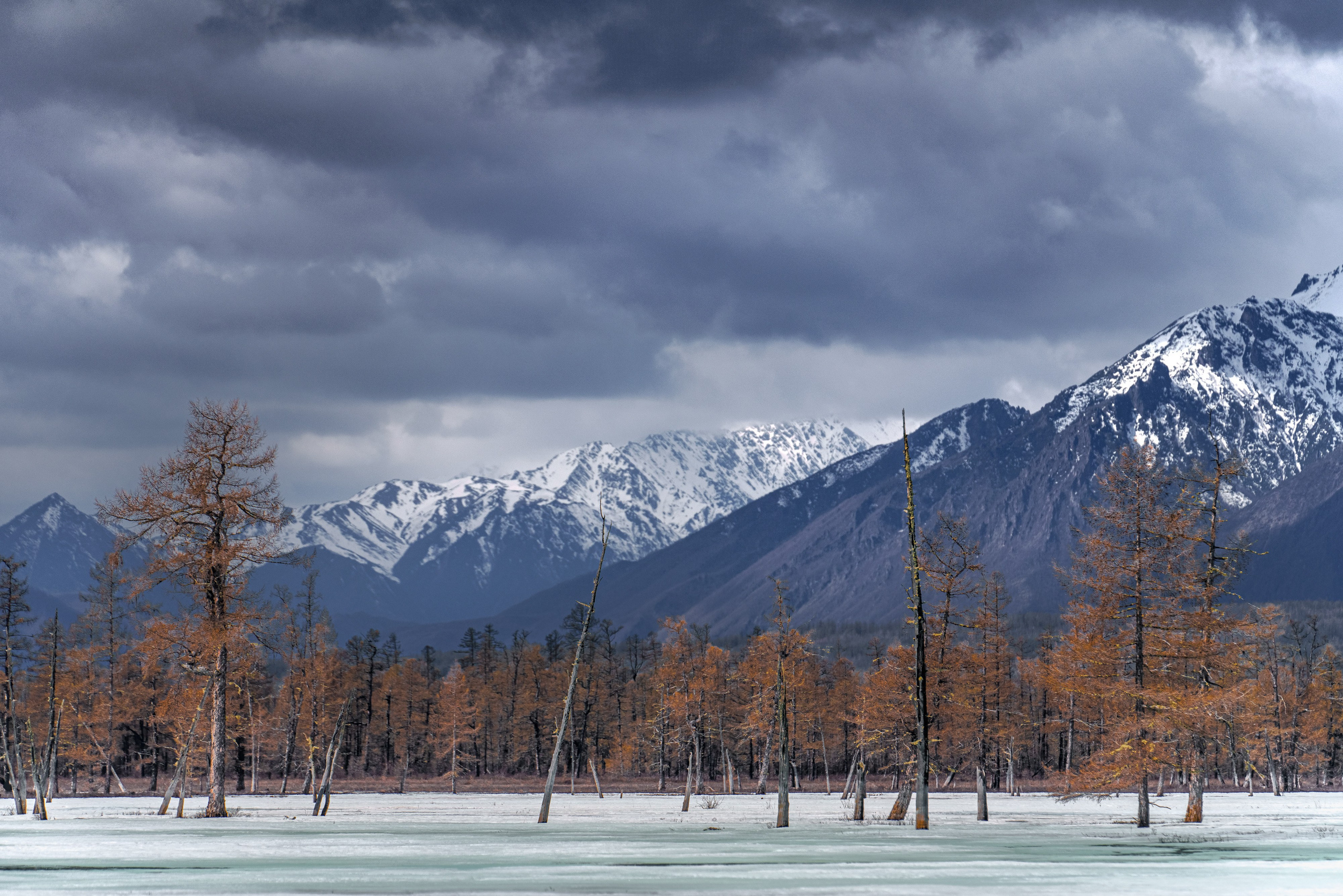Чарские пески и Кодар