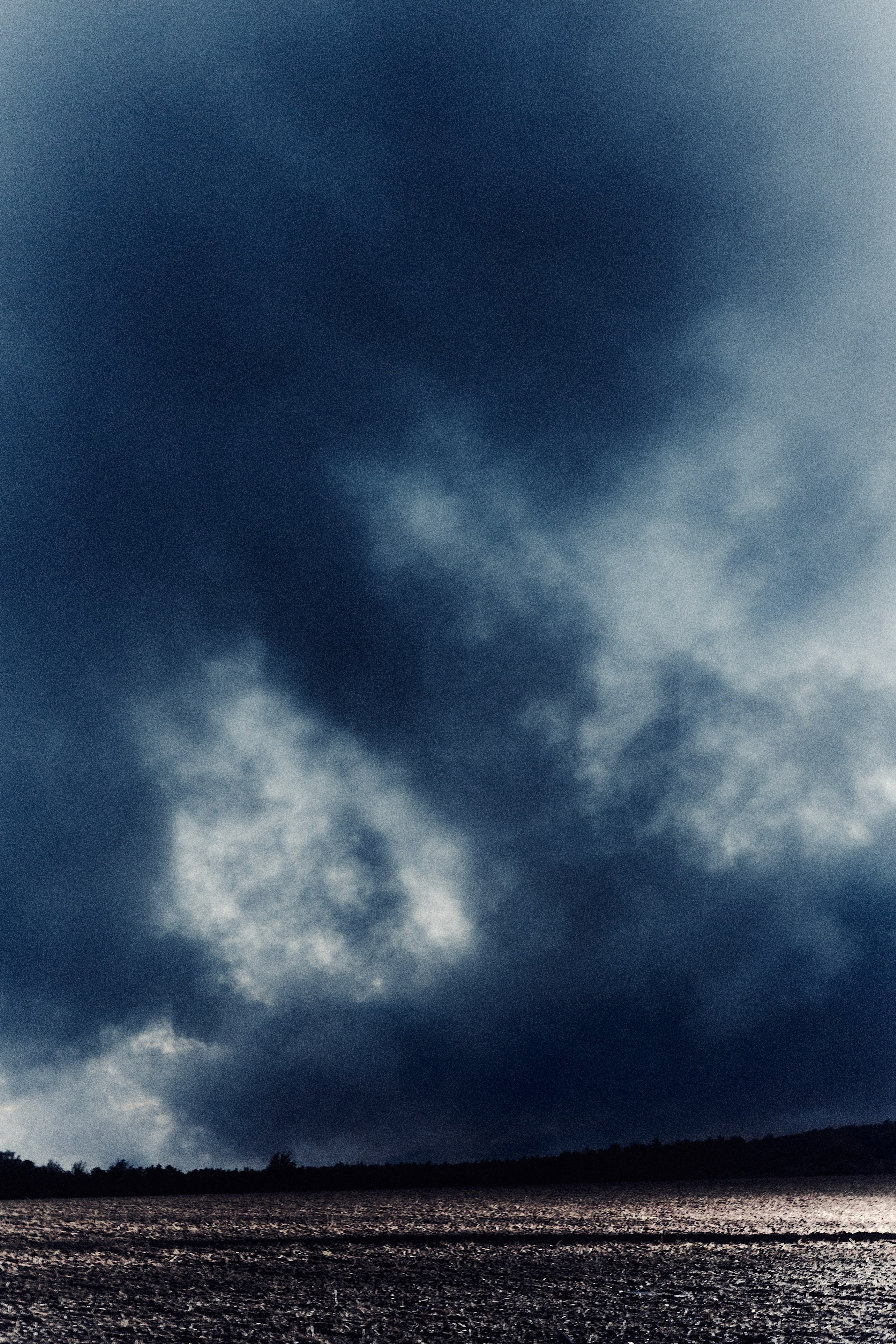 Виолетта и Александр. Свадебный и семейный фотограф в Иваново и Москве Мильков Вадим