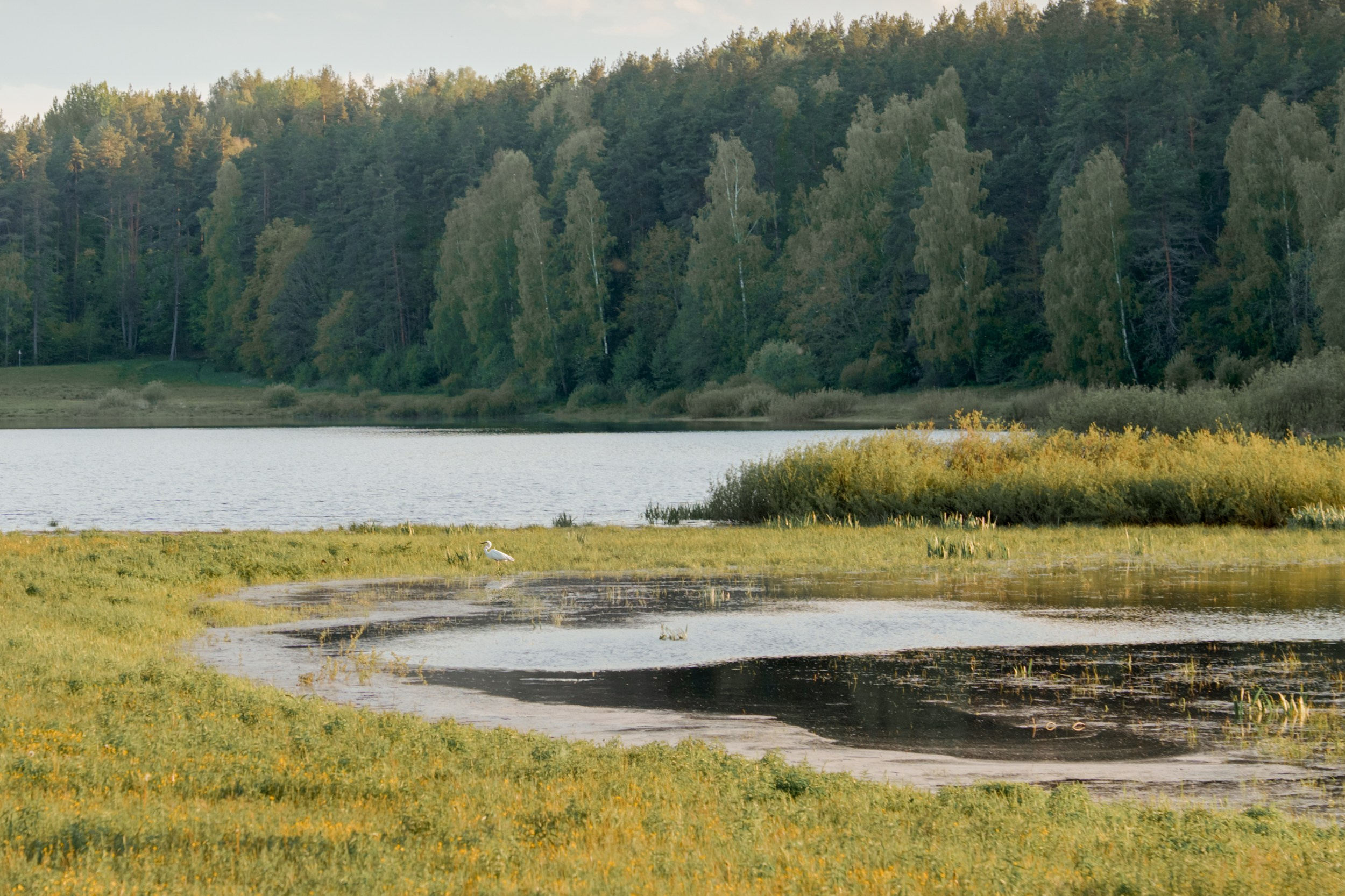 Landscape of the Pushkin Museum-Reserve in Mikhailovsky