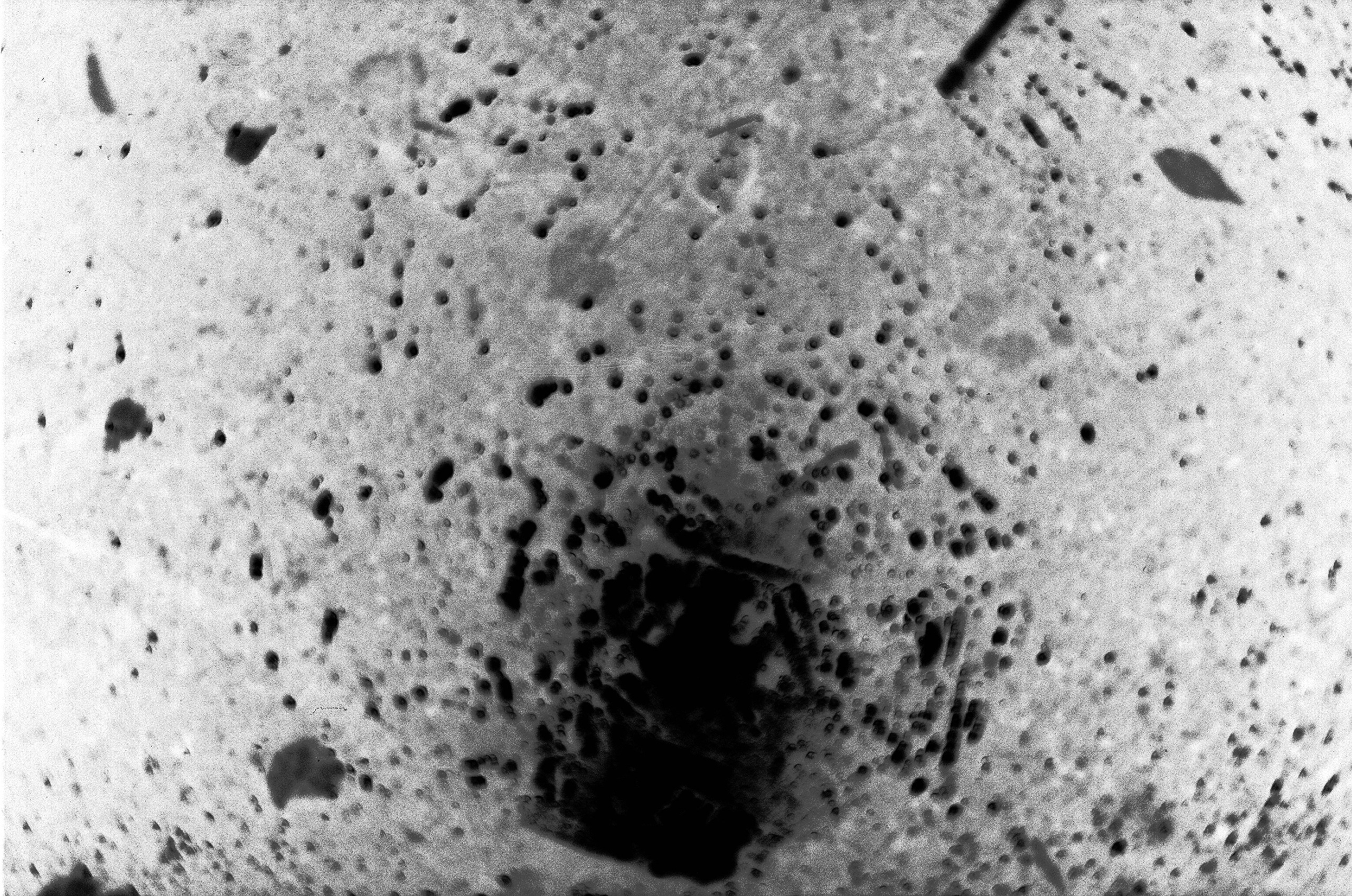 Осенние нуары. Контент-креатор Паша Норицын