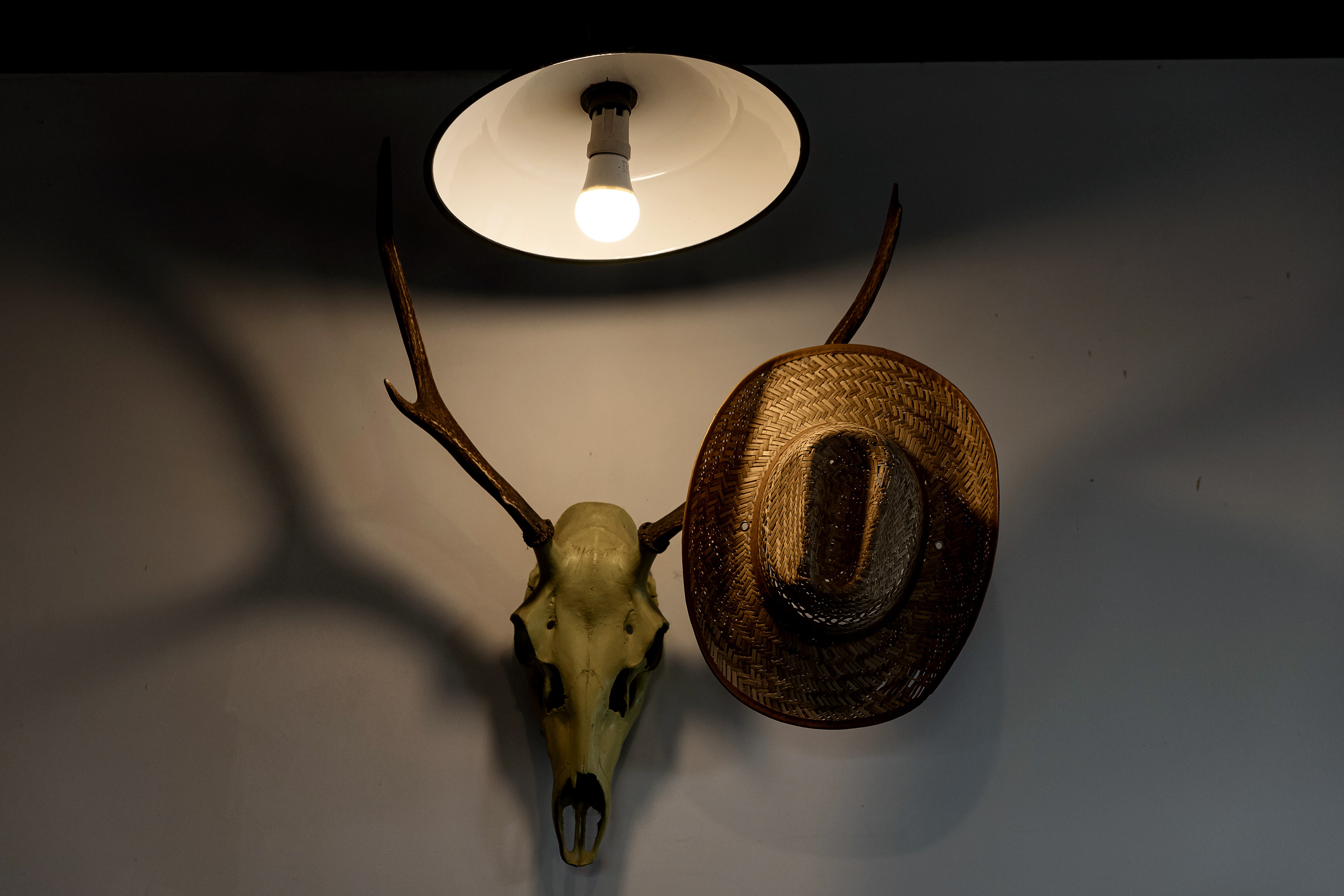 Wedding day Женя и Аня. Свадебный фотограф Колесников Антон