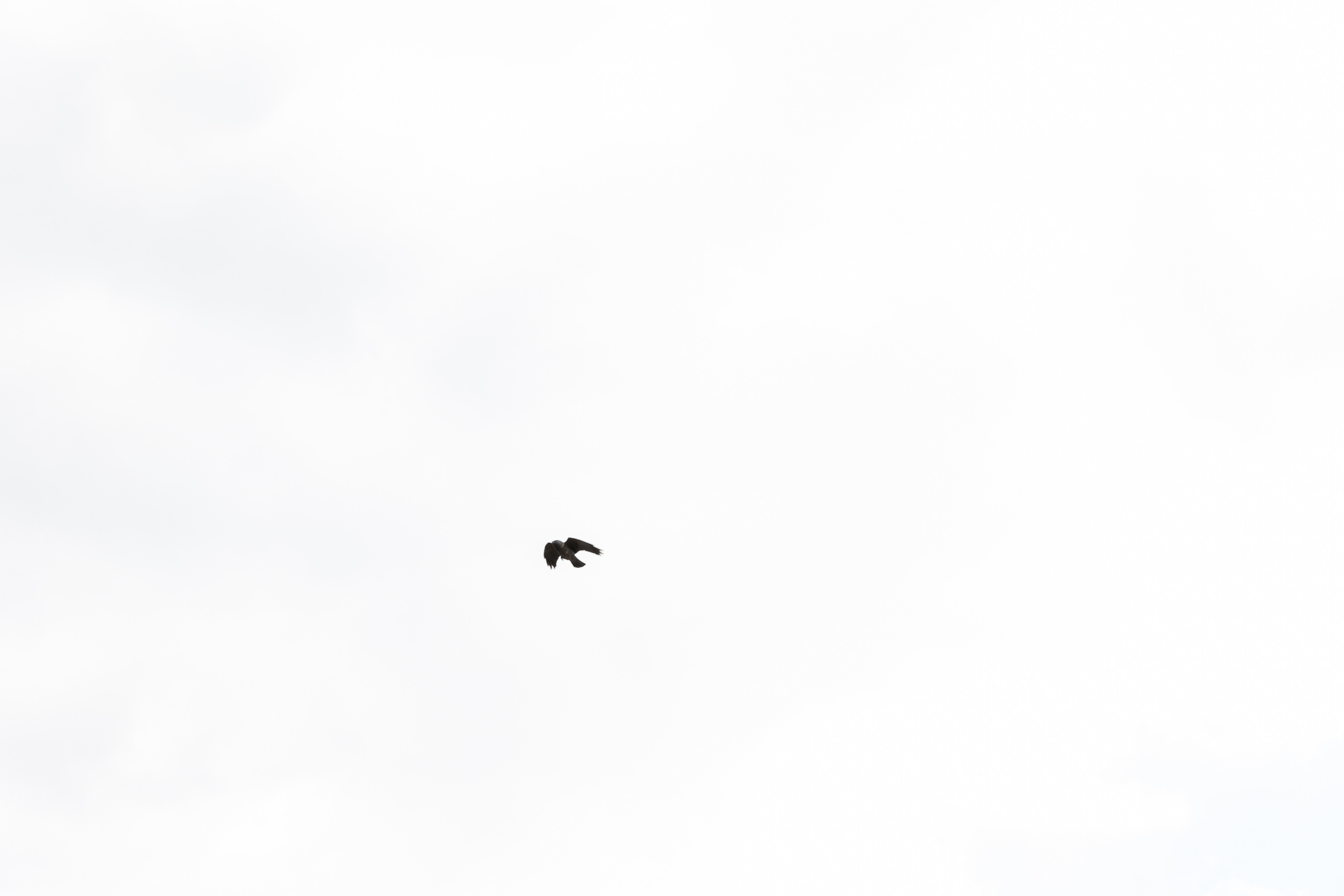 Wedding day Женя и Аня. Свадебный фотограф Колесников Антон