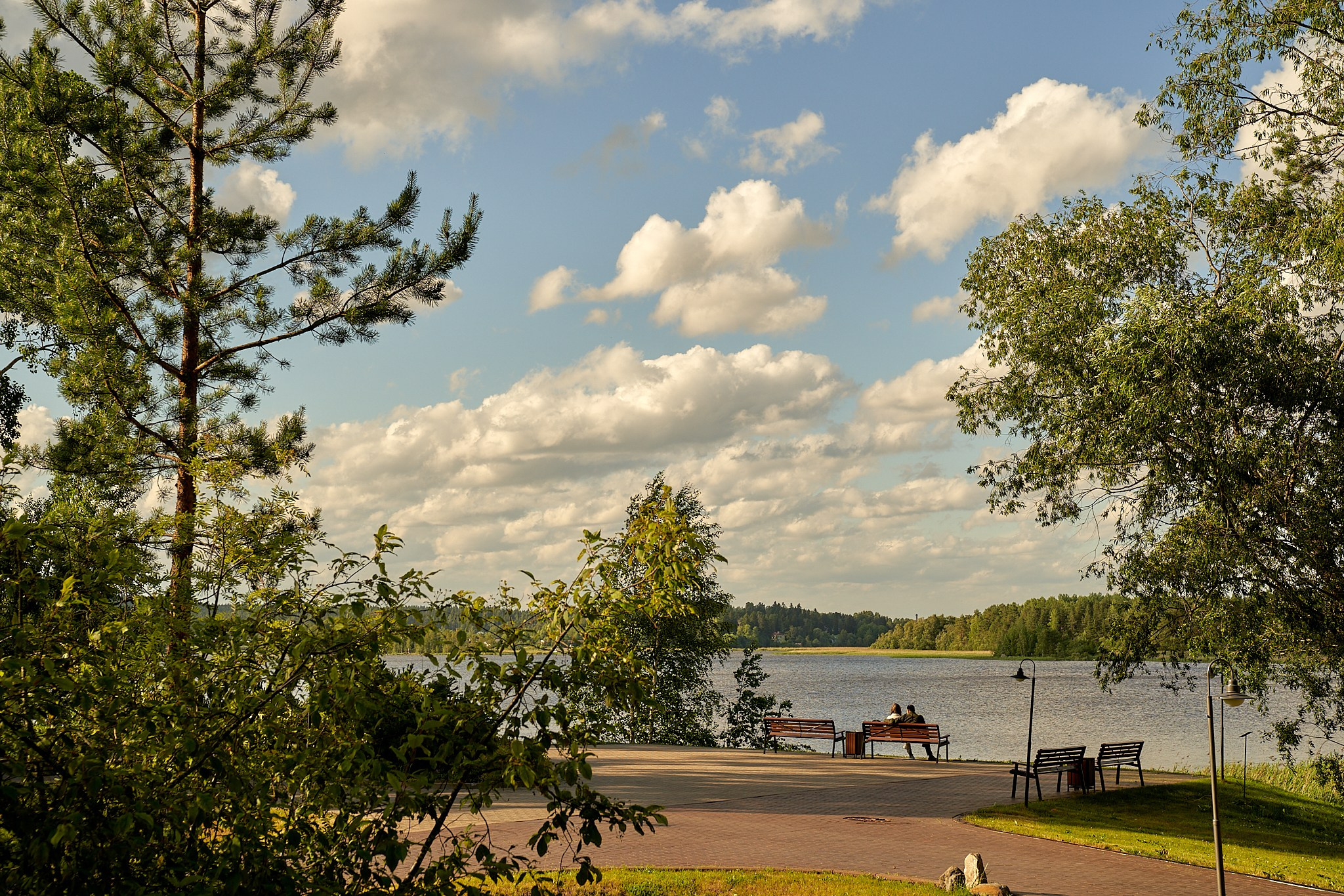 ДАЧА ВИНТЕРА