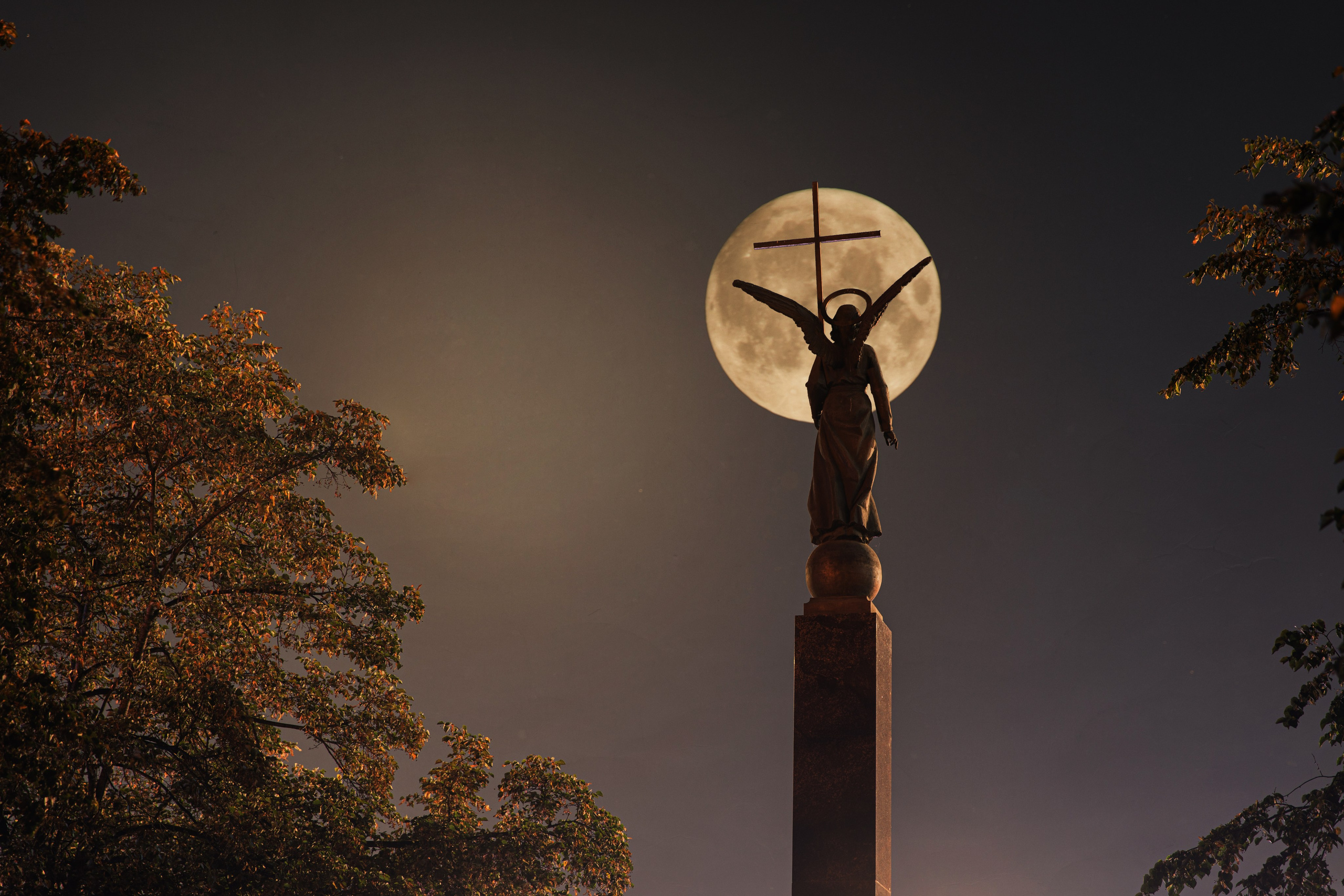 Подберу кадр под ваш интерьер и настроение. Фотограф Кирилл Мешков Кемерово