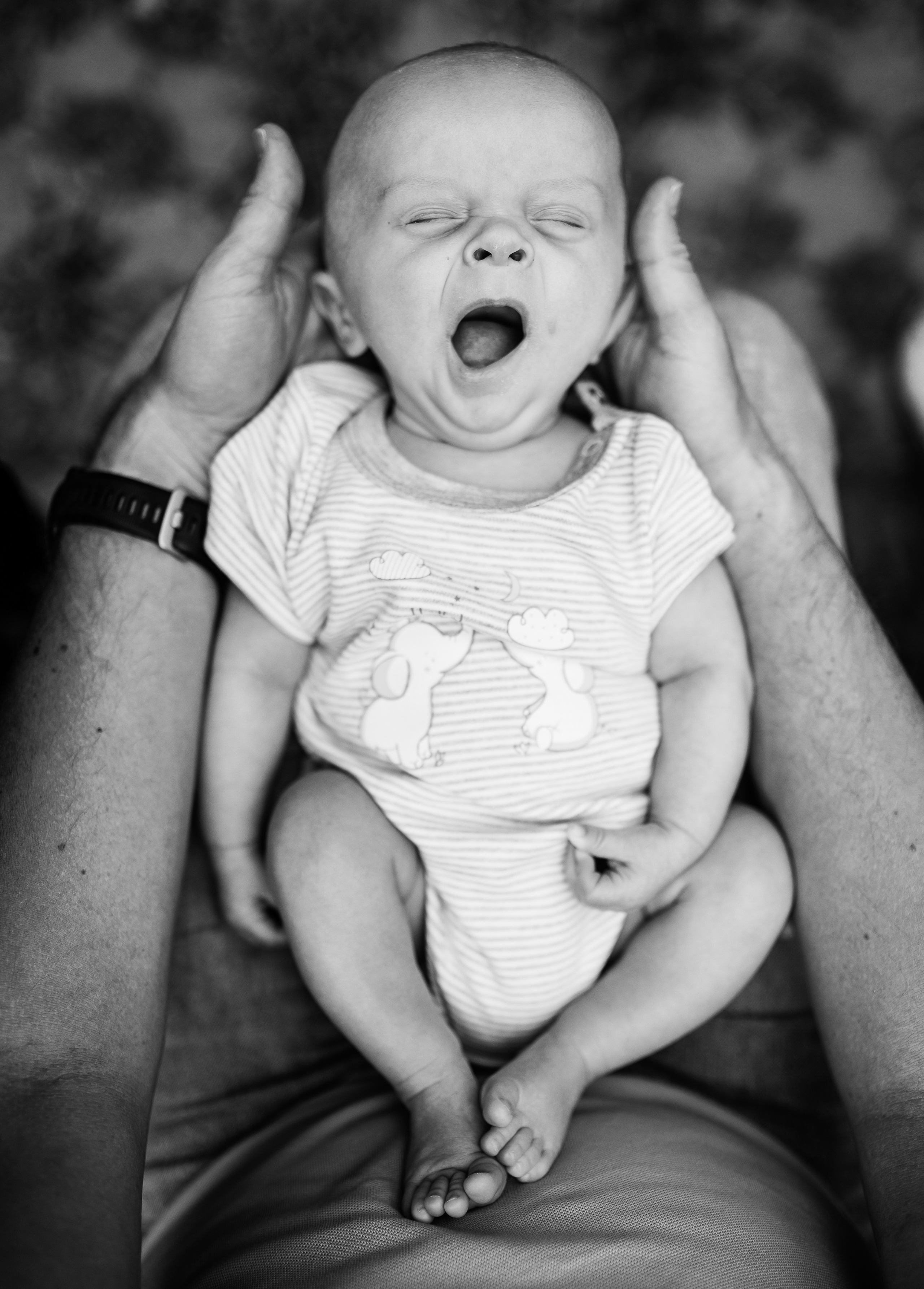 Лови Момент!. Фотограф Валентина Волкова. Москва, Апрелевка, Переделкино