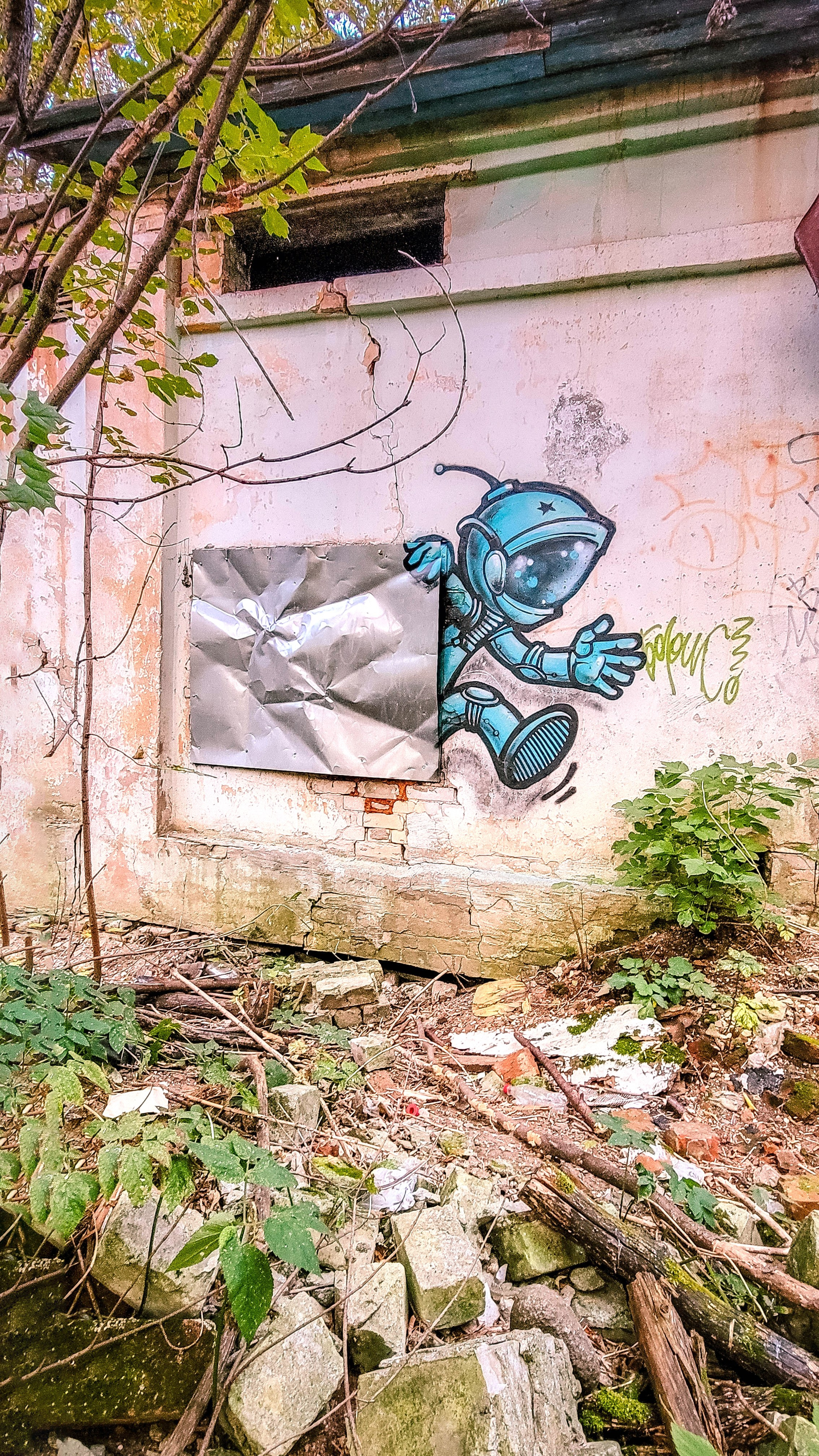 Graffiti. Alexander Stan Shimanov