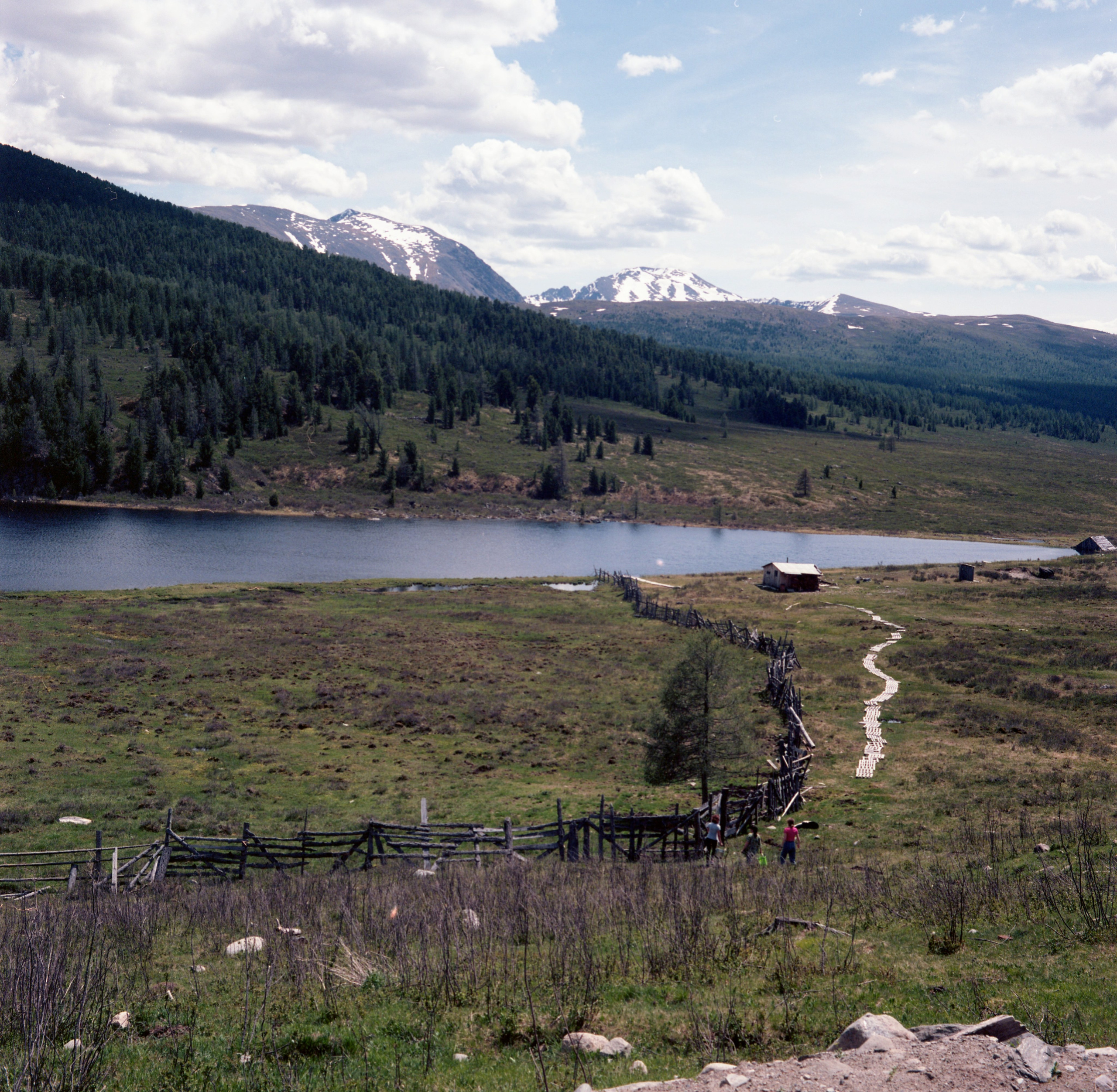 Алтай, Россия. Elena Nikitina. Photo Artist. Film photography. Prints