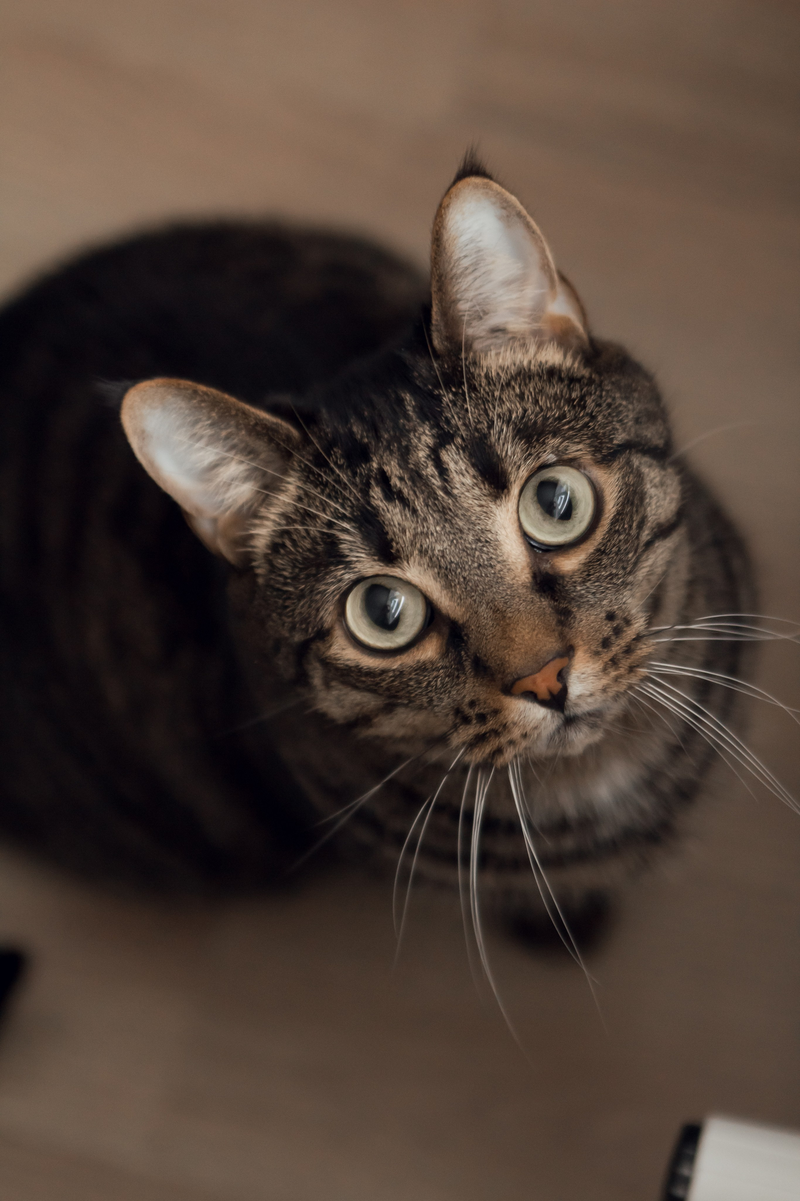 СЕМЕЙНЫЕ ФОТОССИИ. Катя Цвет