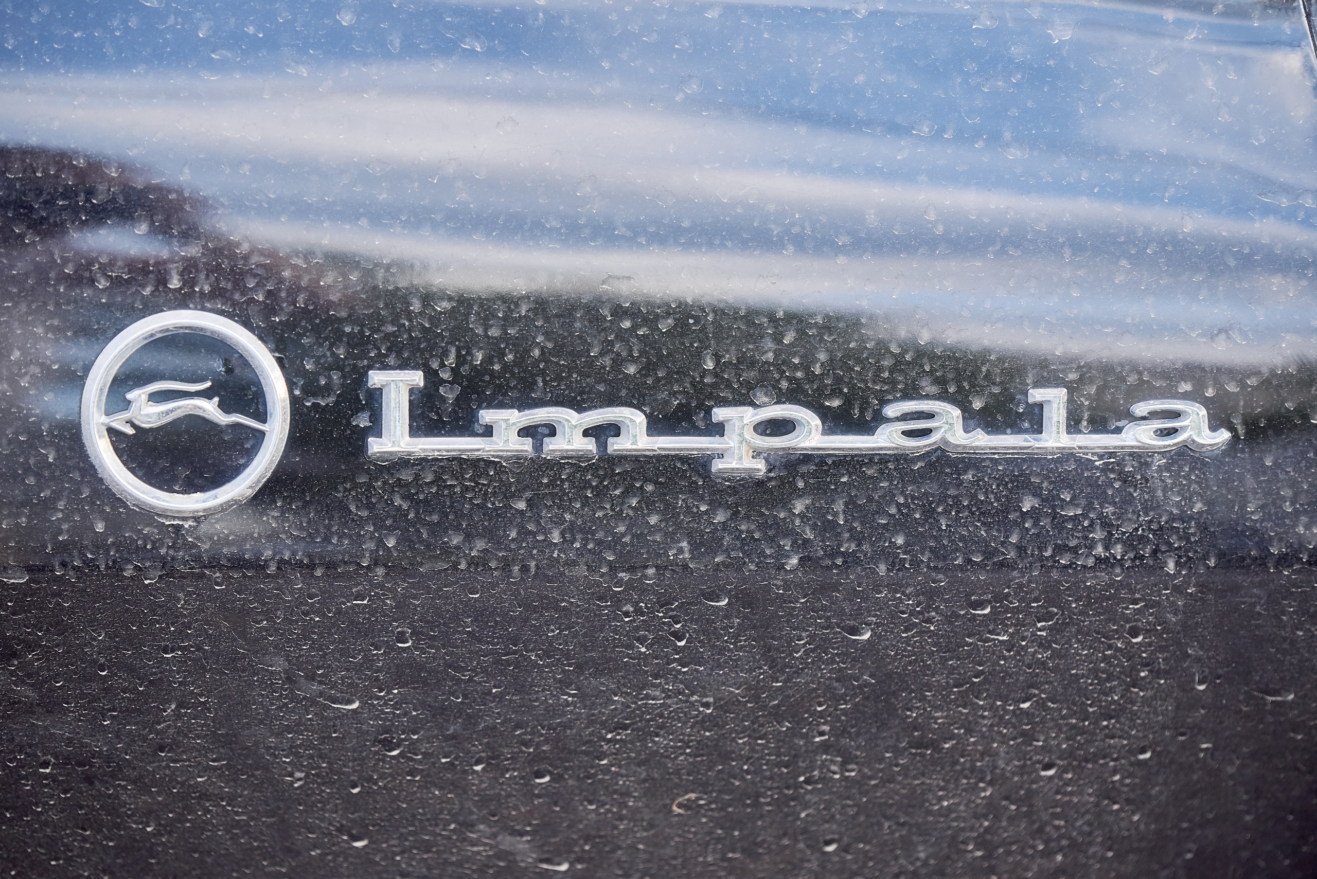 Свадьба Михаила и Юлии. Семейный фотограф в Москве Александр BAV