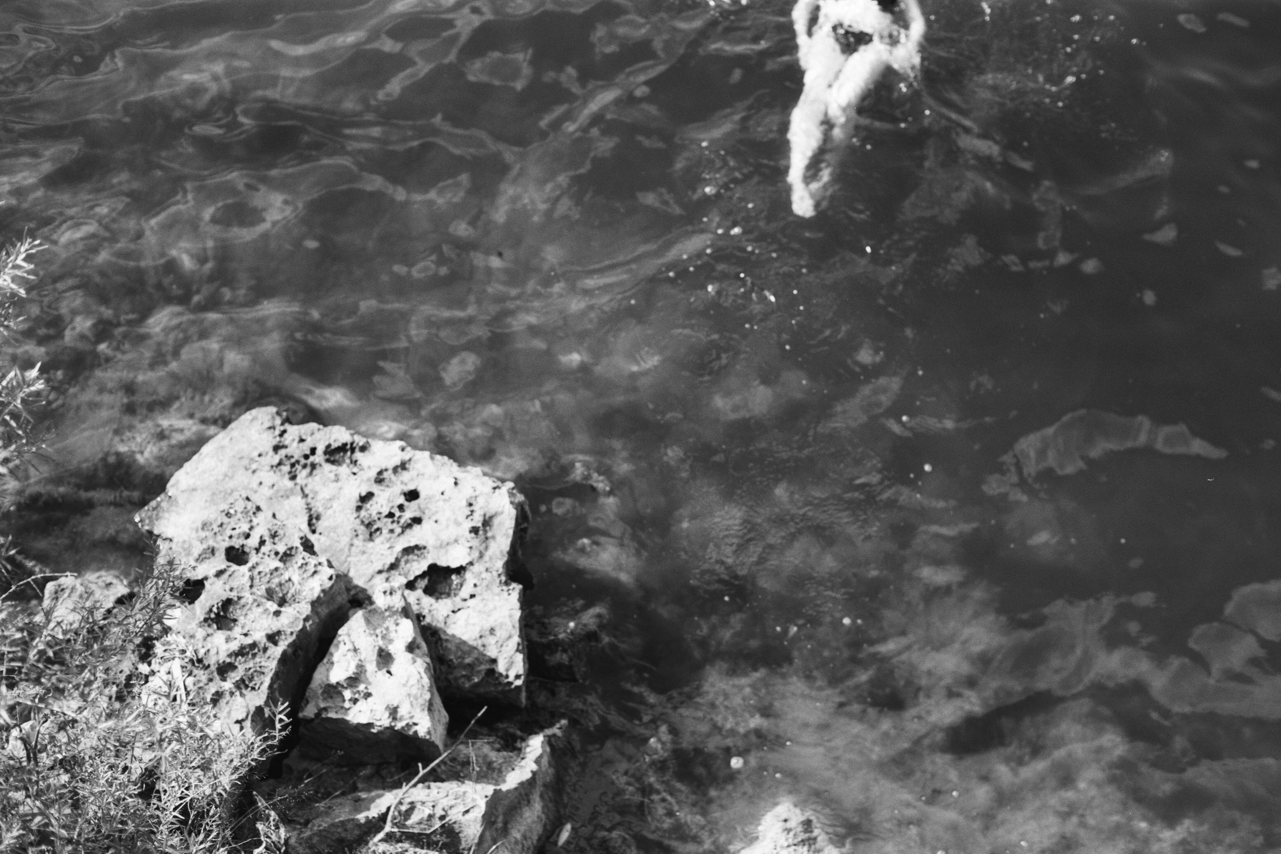 Автор: Семен Журавлев