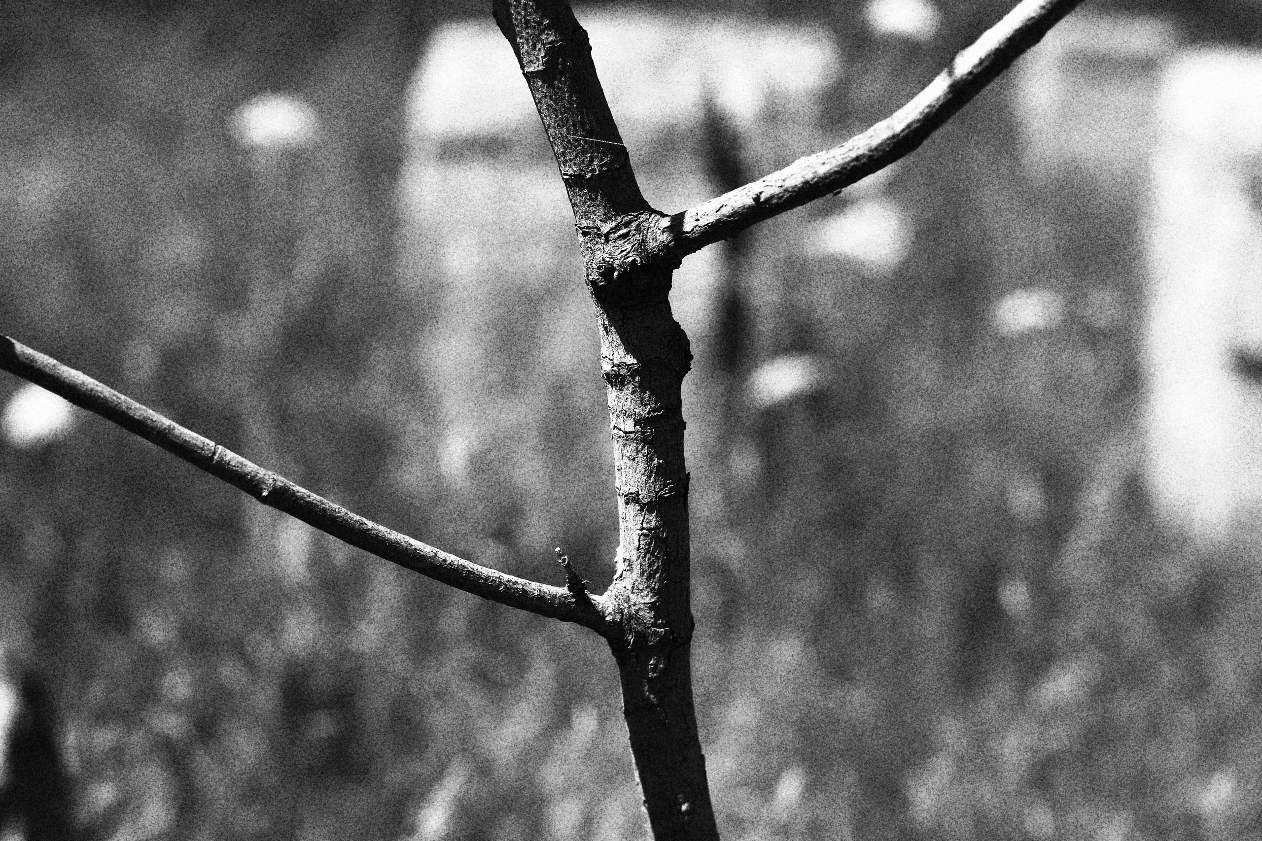 Автор: Андрей Сарычев