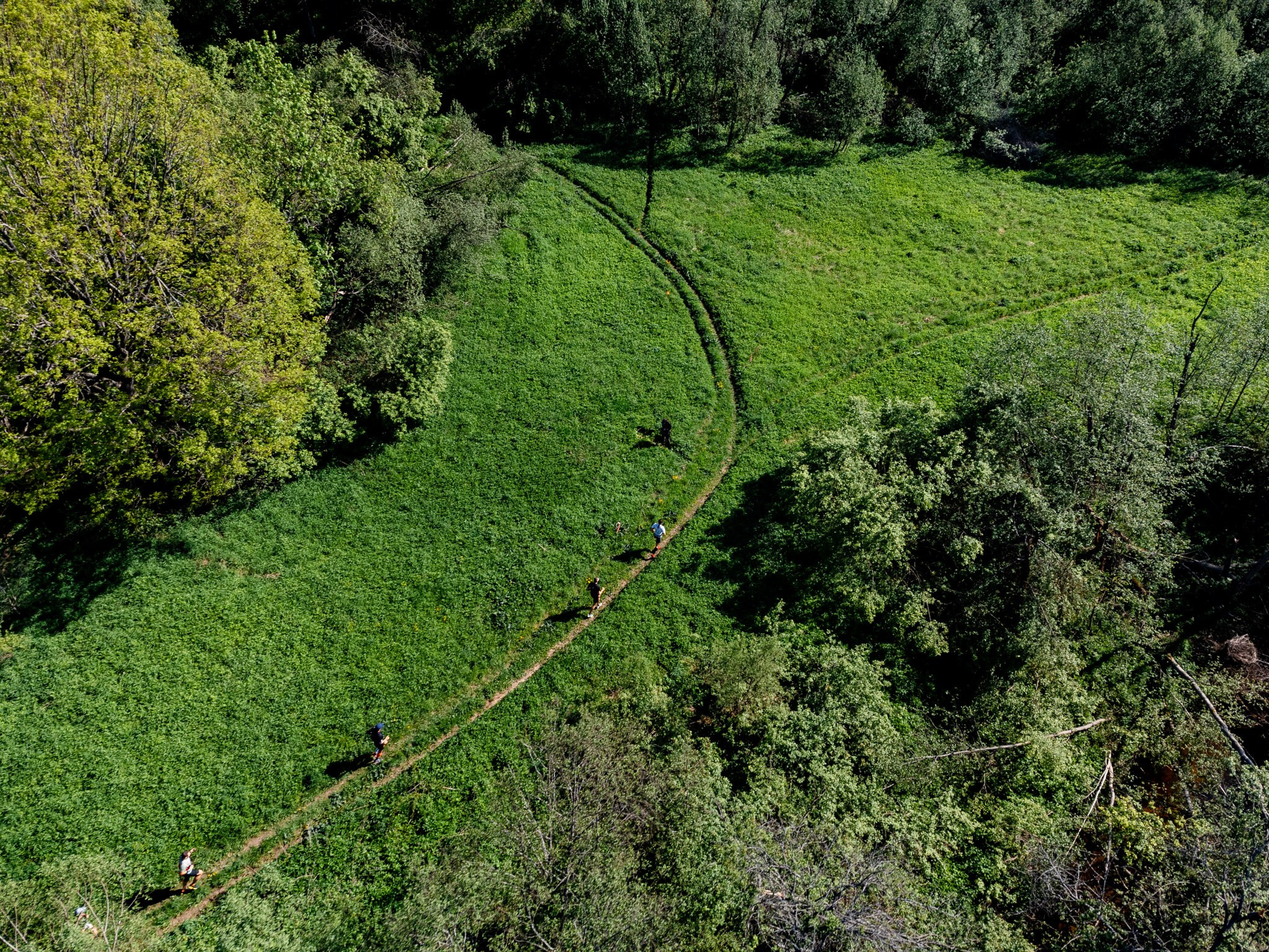 City Trail Volen. Павел Шарапов | Фотограф | Москва