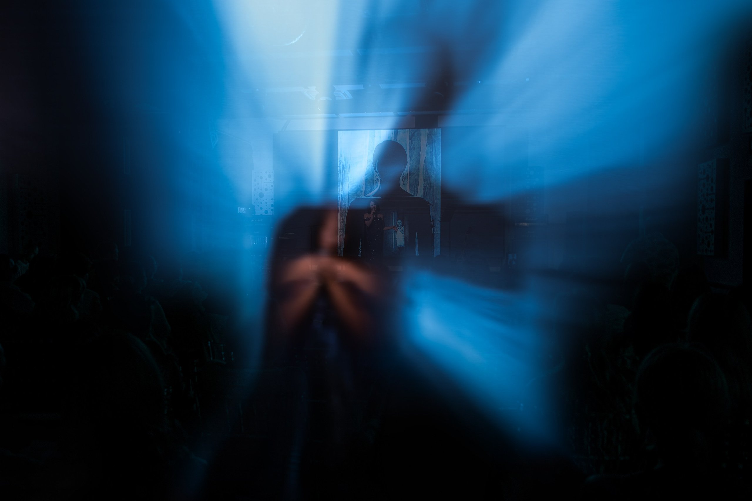 КОНЦЕРТ. Света ЧЕ. Мастер интеллектуальной фотографии. Краснодар