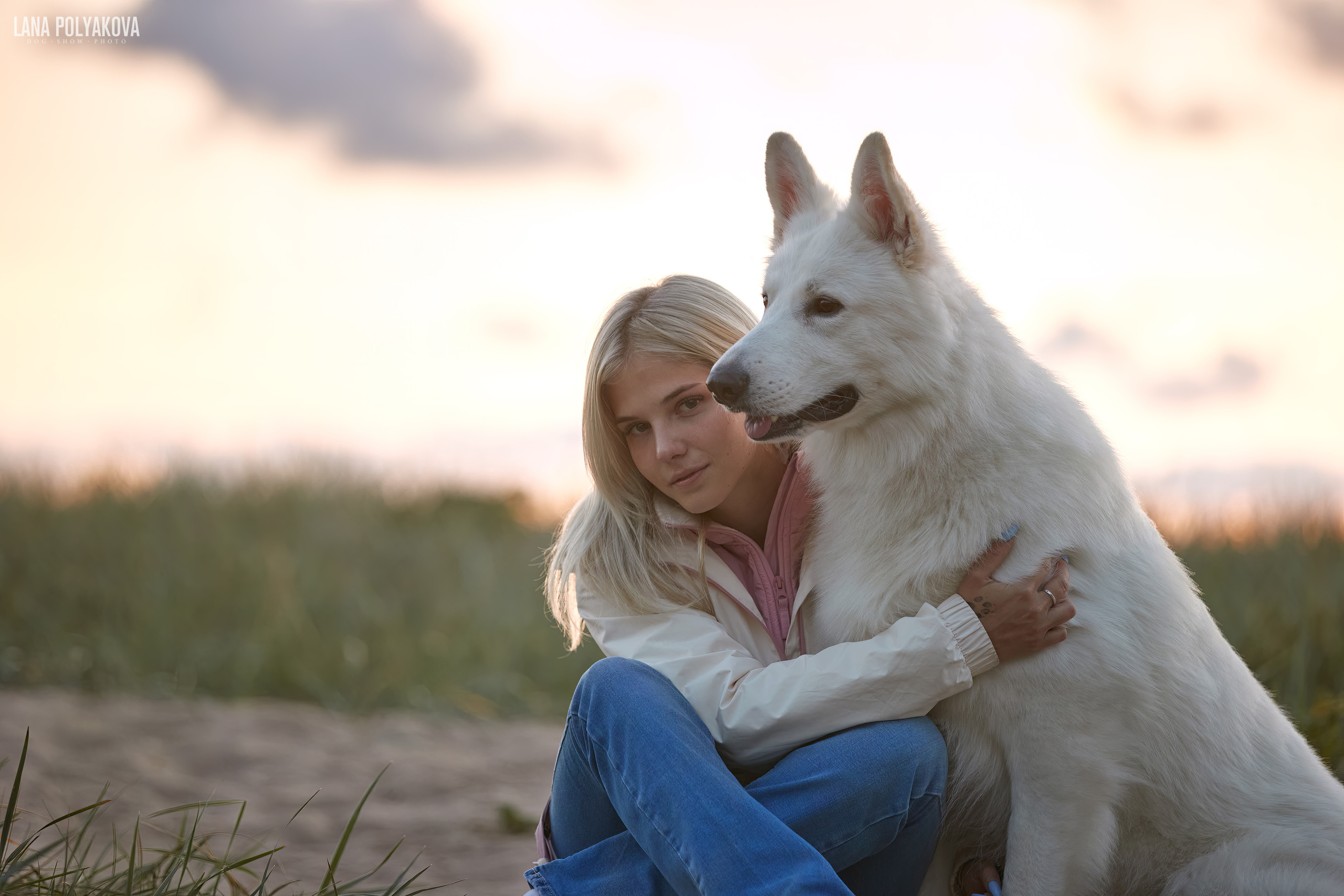 Большая швейцарская овчарка на фотопрогулке в Санкт-Петербурге