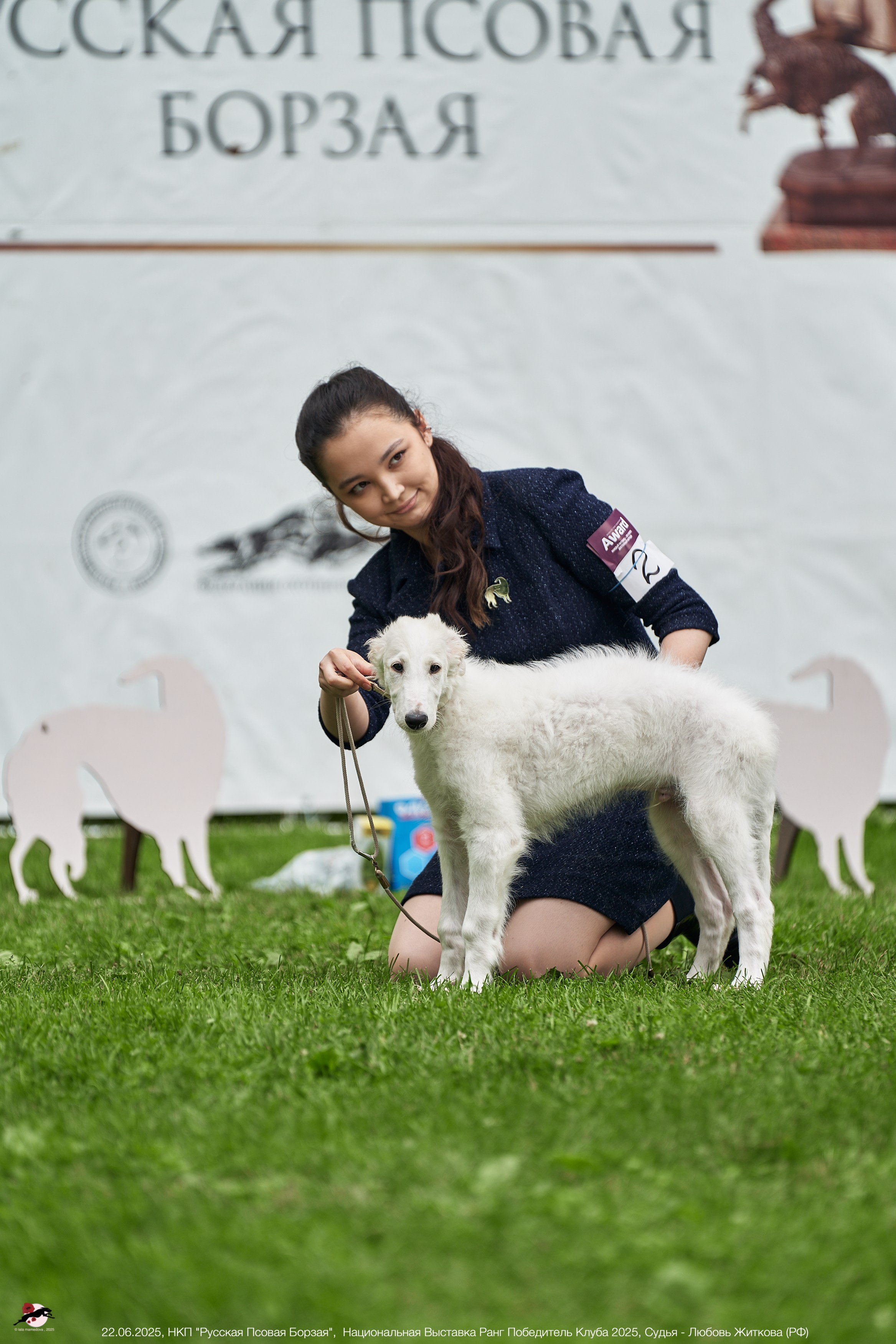 22.06.2025 | Национальная Выставка НКП "Русская Псовая Борзая"