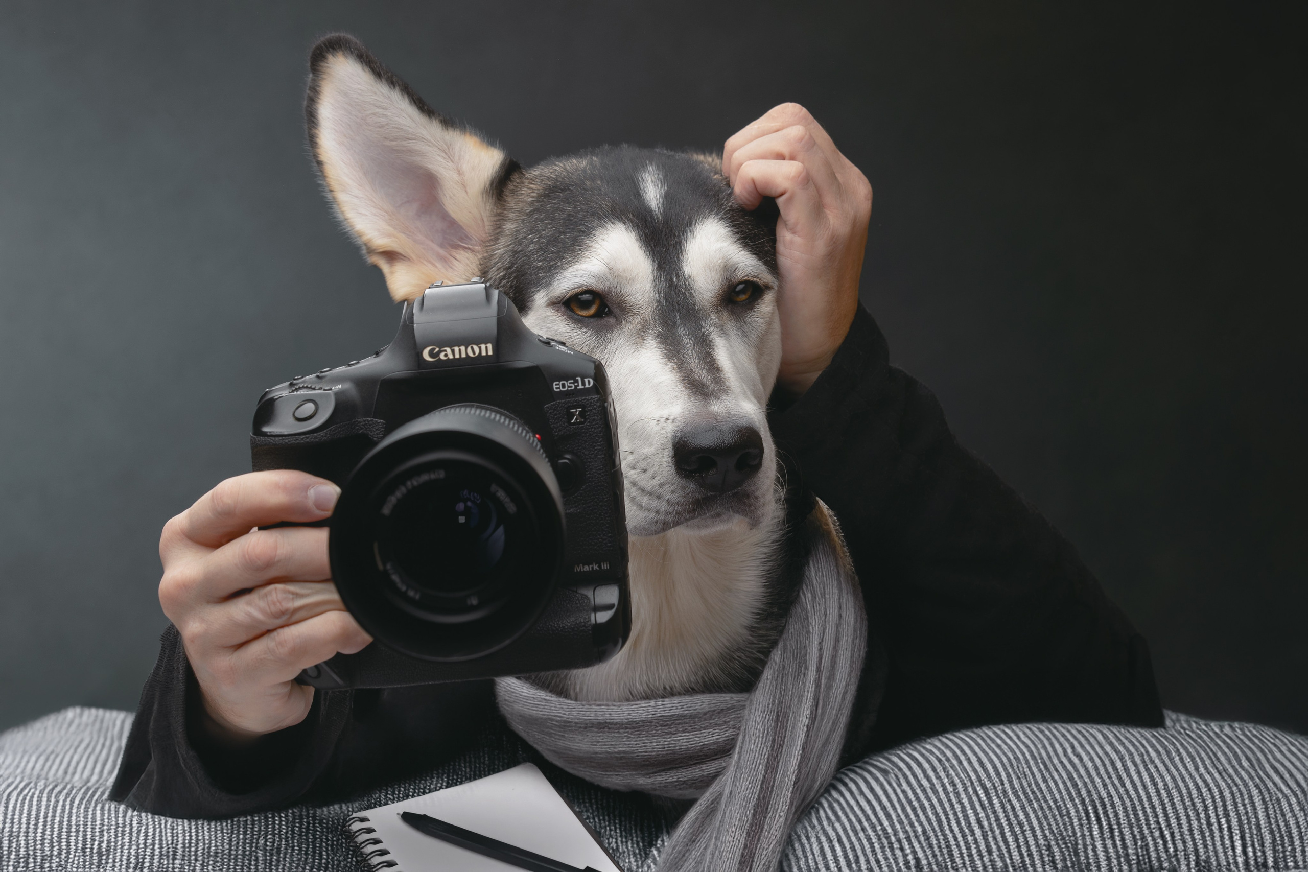 Фотограф анималист в Санкт-Петербурге Светлана Писарева