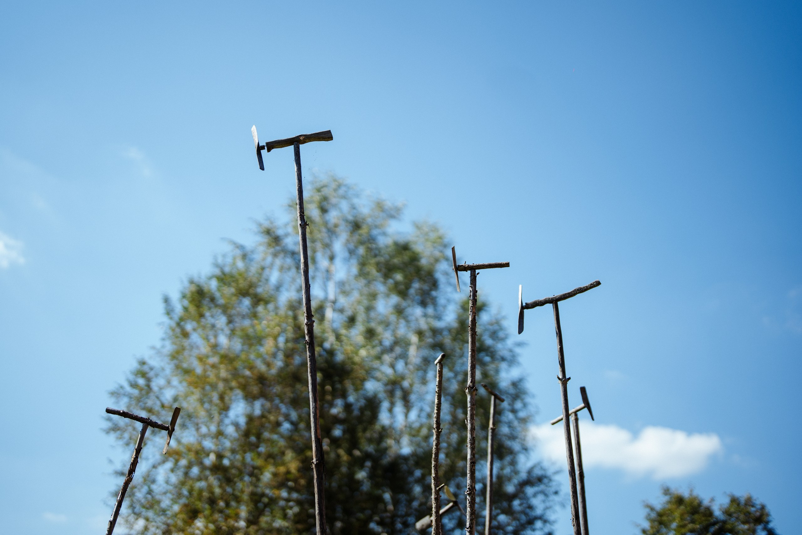 Сюжет № 9|Музей культуры дерева имени Е. И. Яранцева