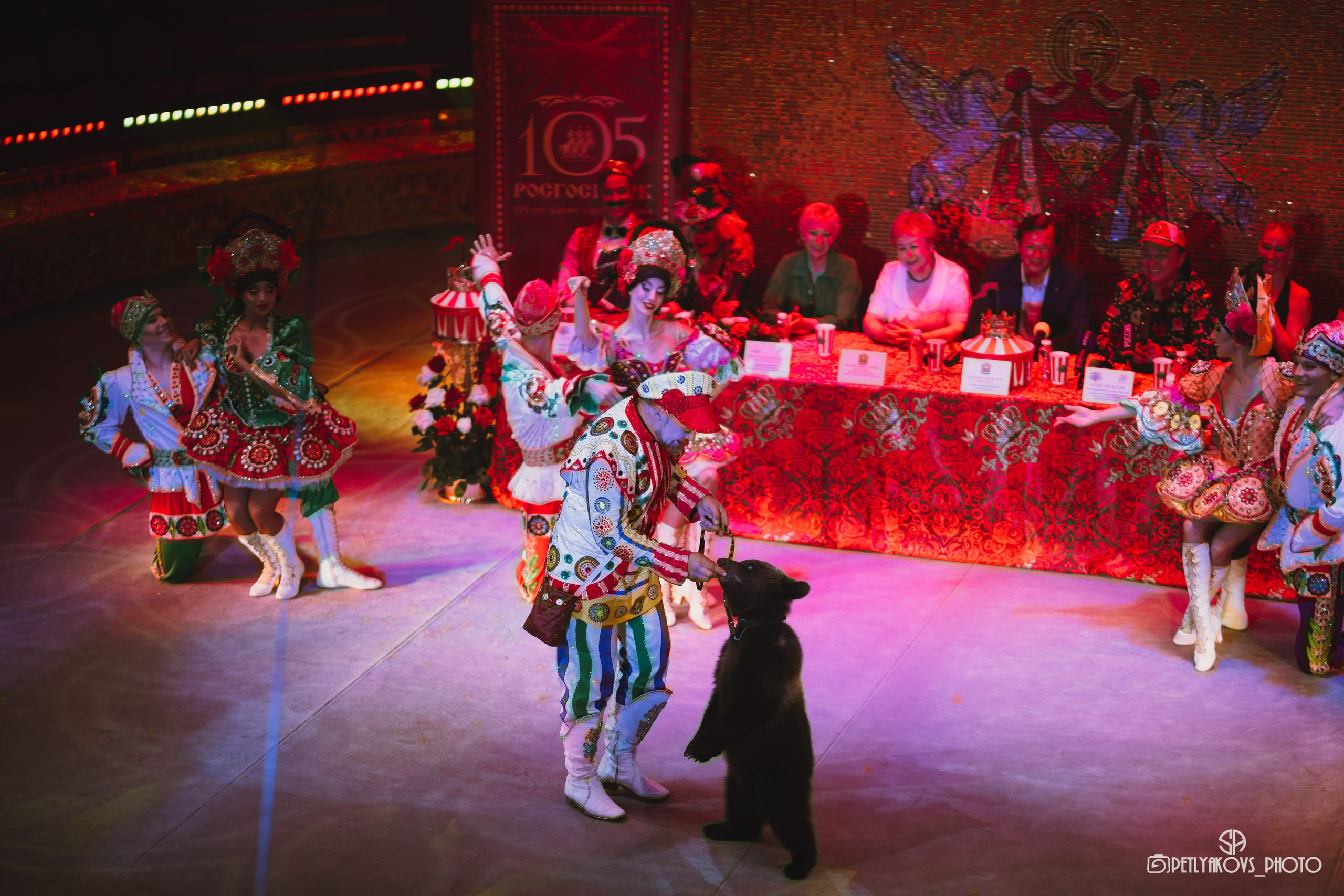 Пресс-конференция циркового шоу Гии Эрадзе «Бурлеск» (репортаж). Фотограф, видеограф Пятигорск, Ставрополь, Ессентуки, Petlyakovs_photo