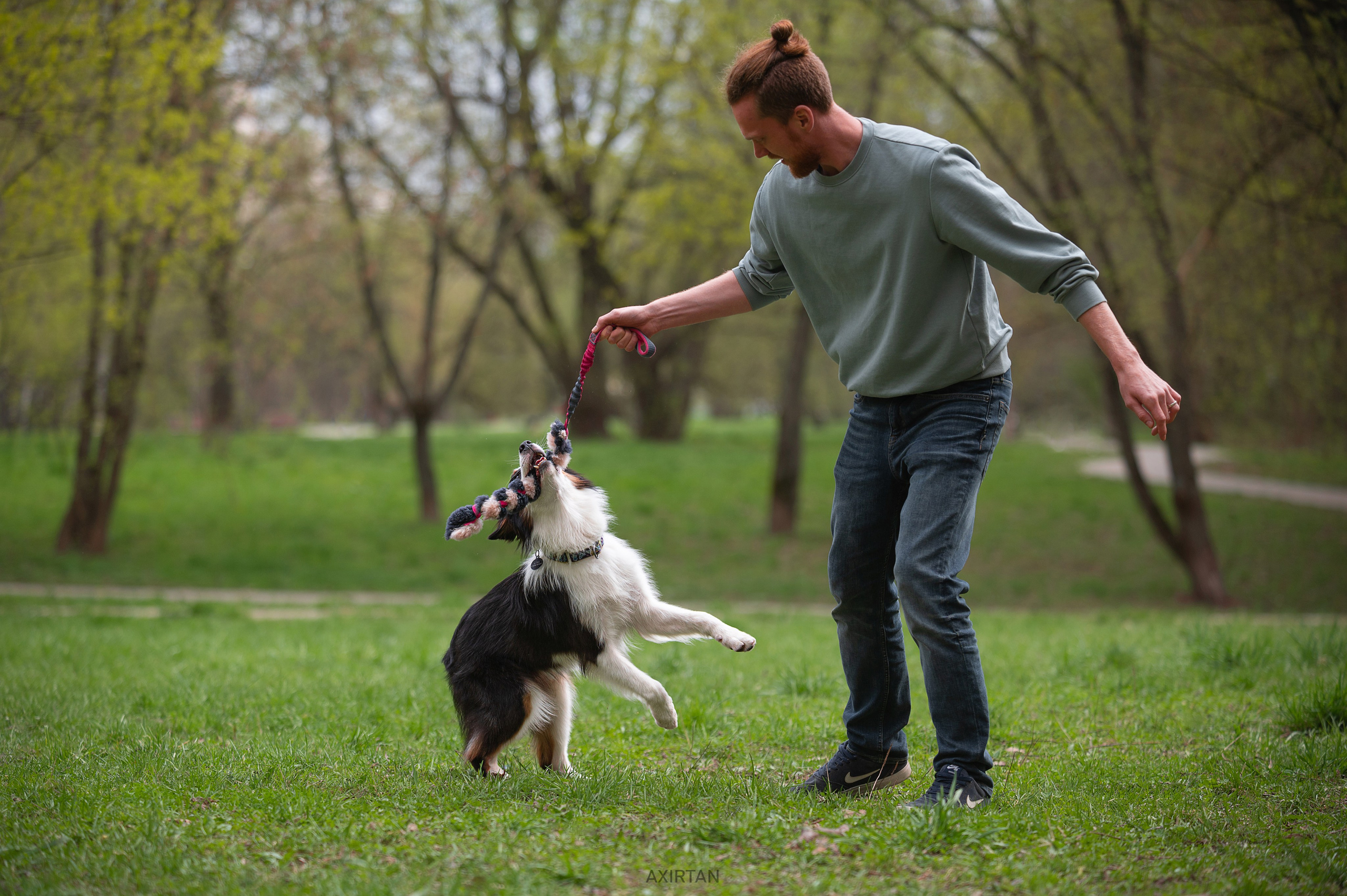 Ива. BLGKV питомник собак