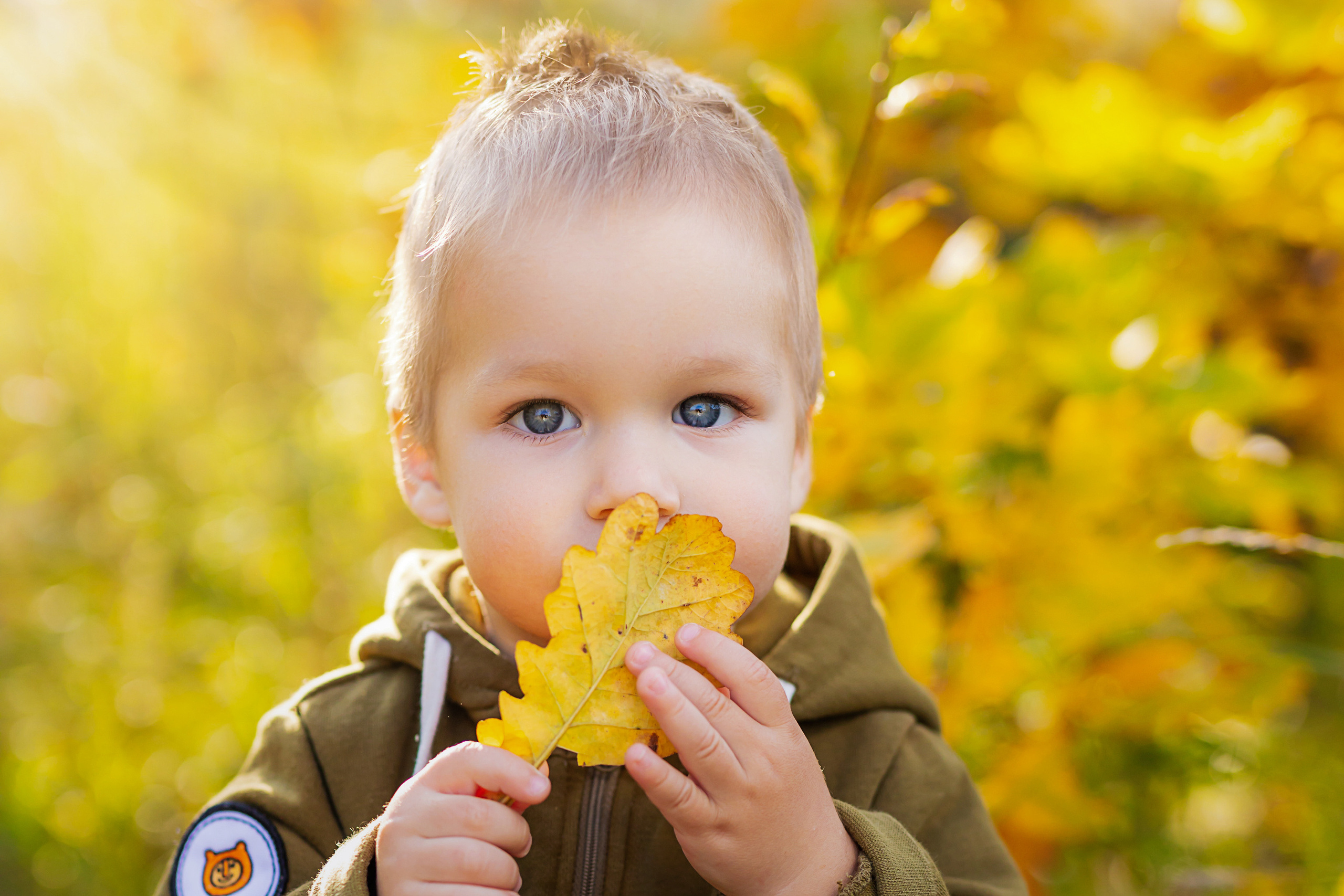Осенние фотосессии в Крылатском. Профессиональная фото и видеосъемка. Москва