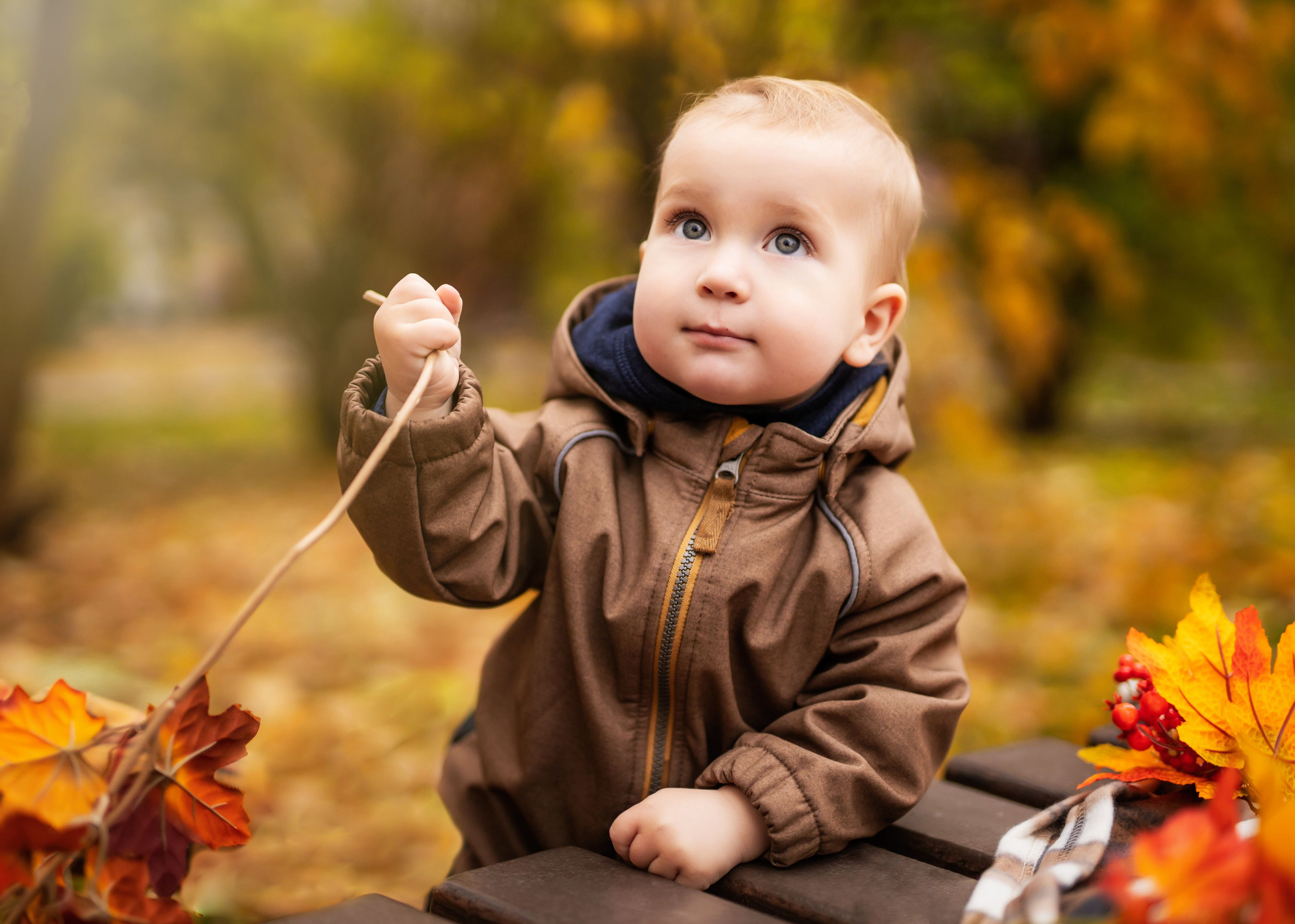 Осенние фотосессии в Крылатском. Профессиональная фото и видеосъемка. Москва