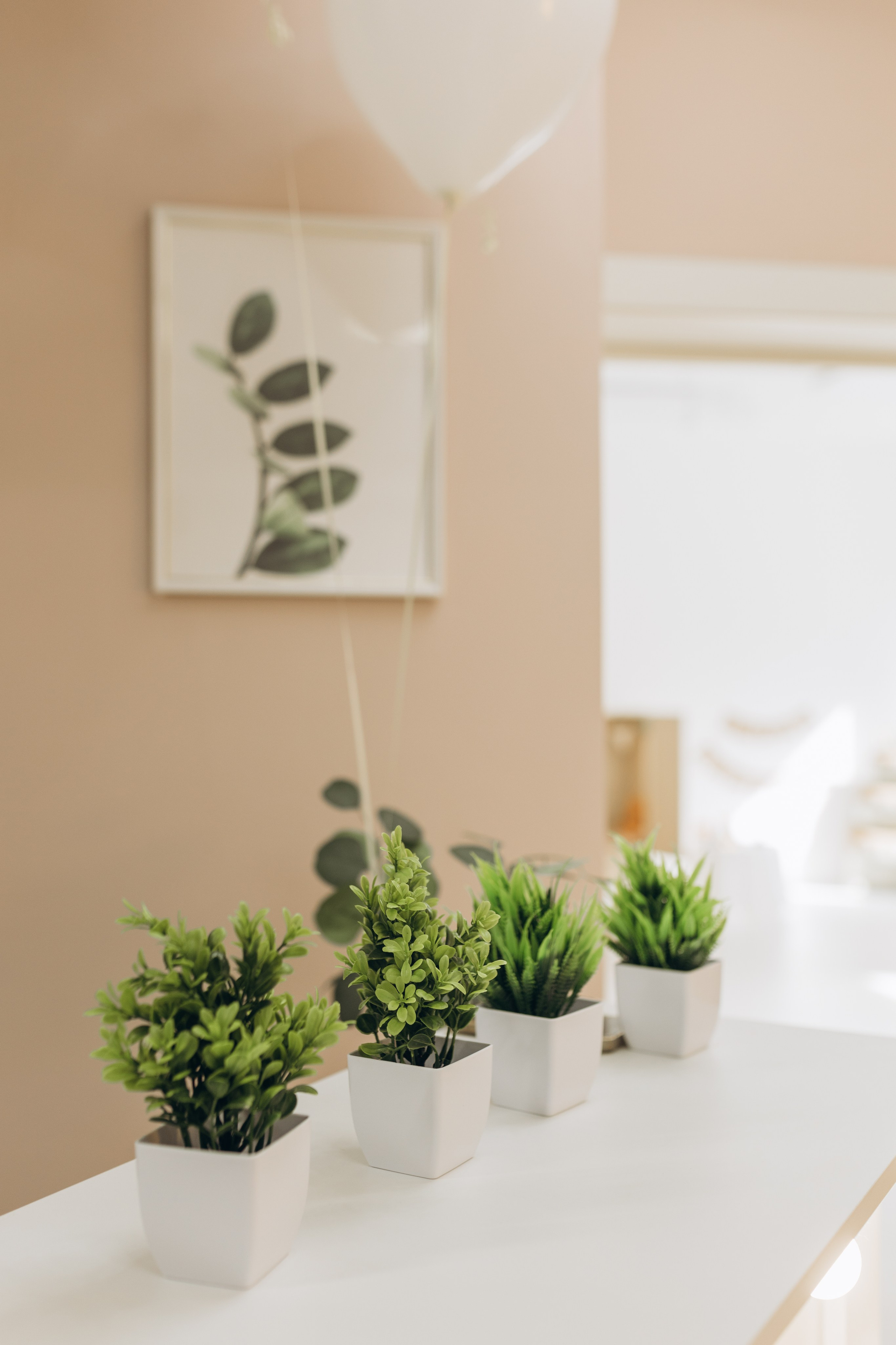 Фотостудия «Птичка» Мытищи,