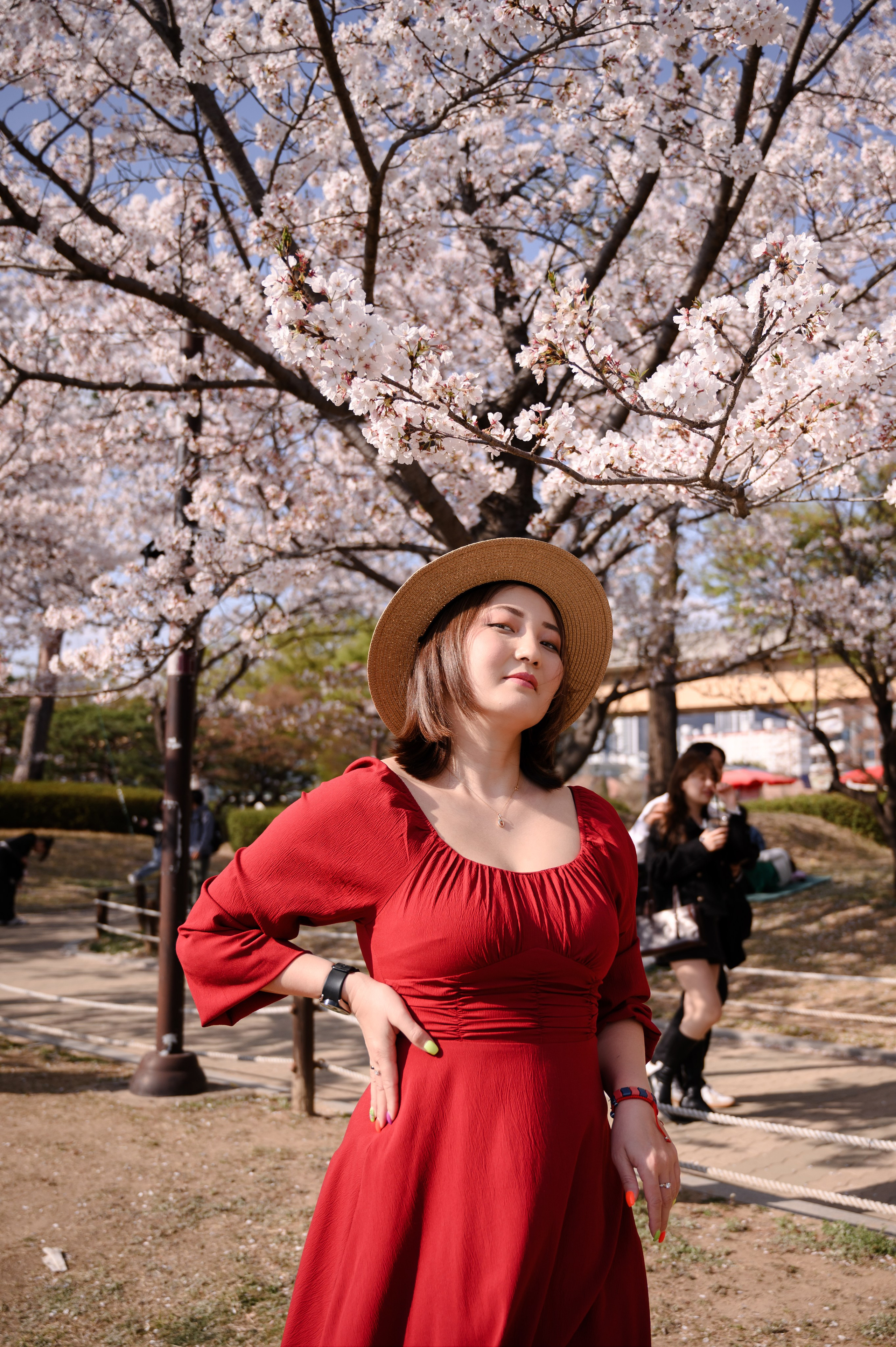 Séance photo romantique sous les fleurs de cerisier à Busan