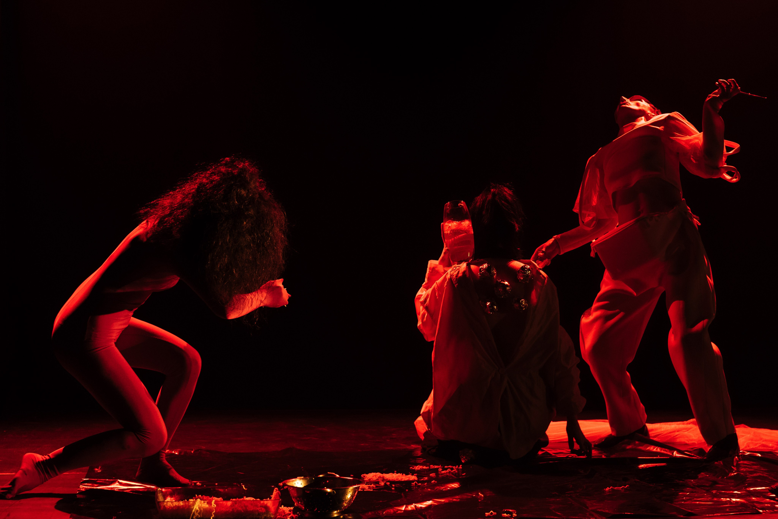 Двойник (2024). Междисциплинарный художник и режиссер София Меликова