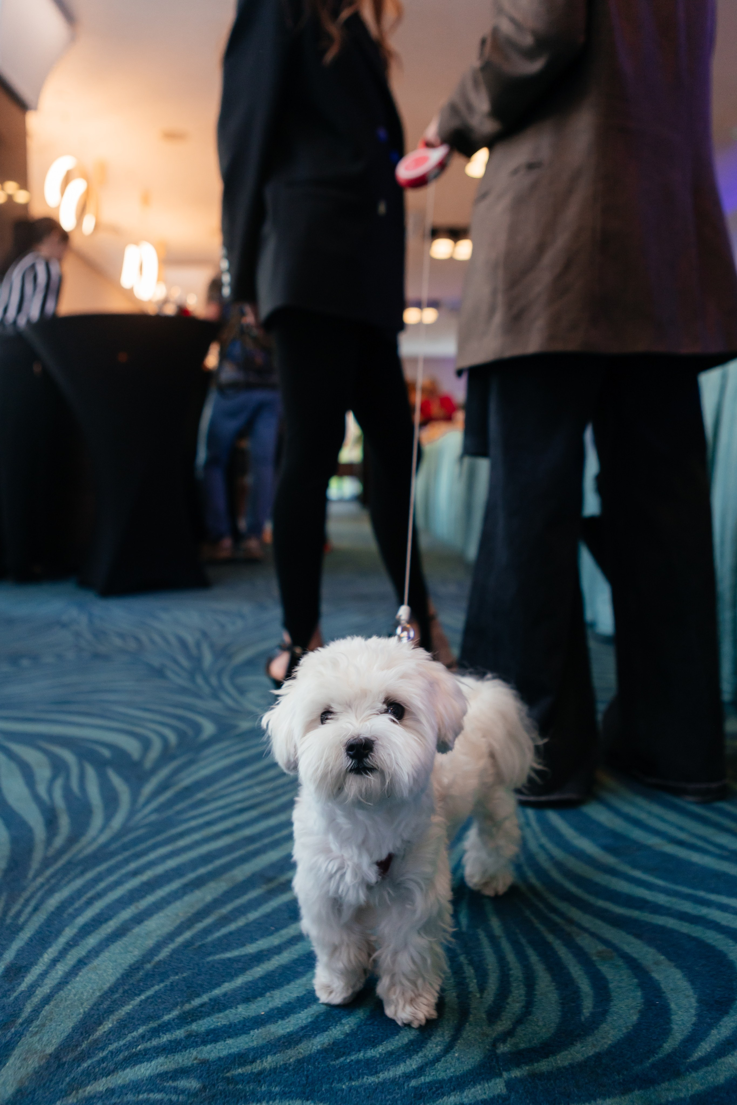 ПРЕМИЯ 2ГИС | PART II. СВОИ. ФОТООТЧЕТЫ-СОБЫТИЯ-МЕСТА