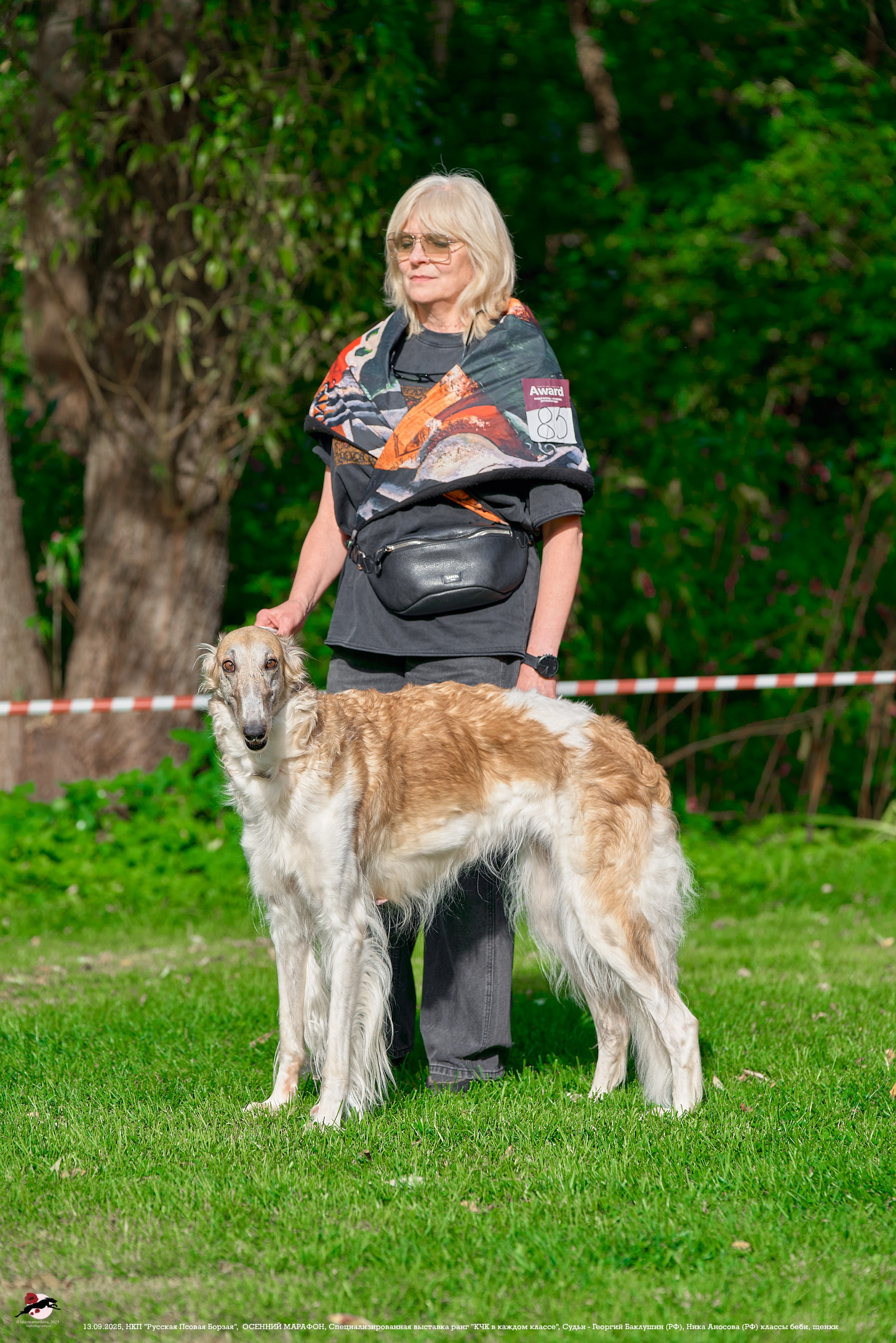 ОСЕННИЙ МАРАФОН | Специализированная выставка породы Русская Псовая Борзая ранг "КЧК в каждом классе"