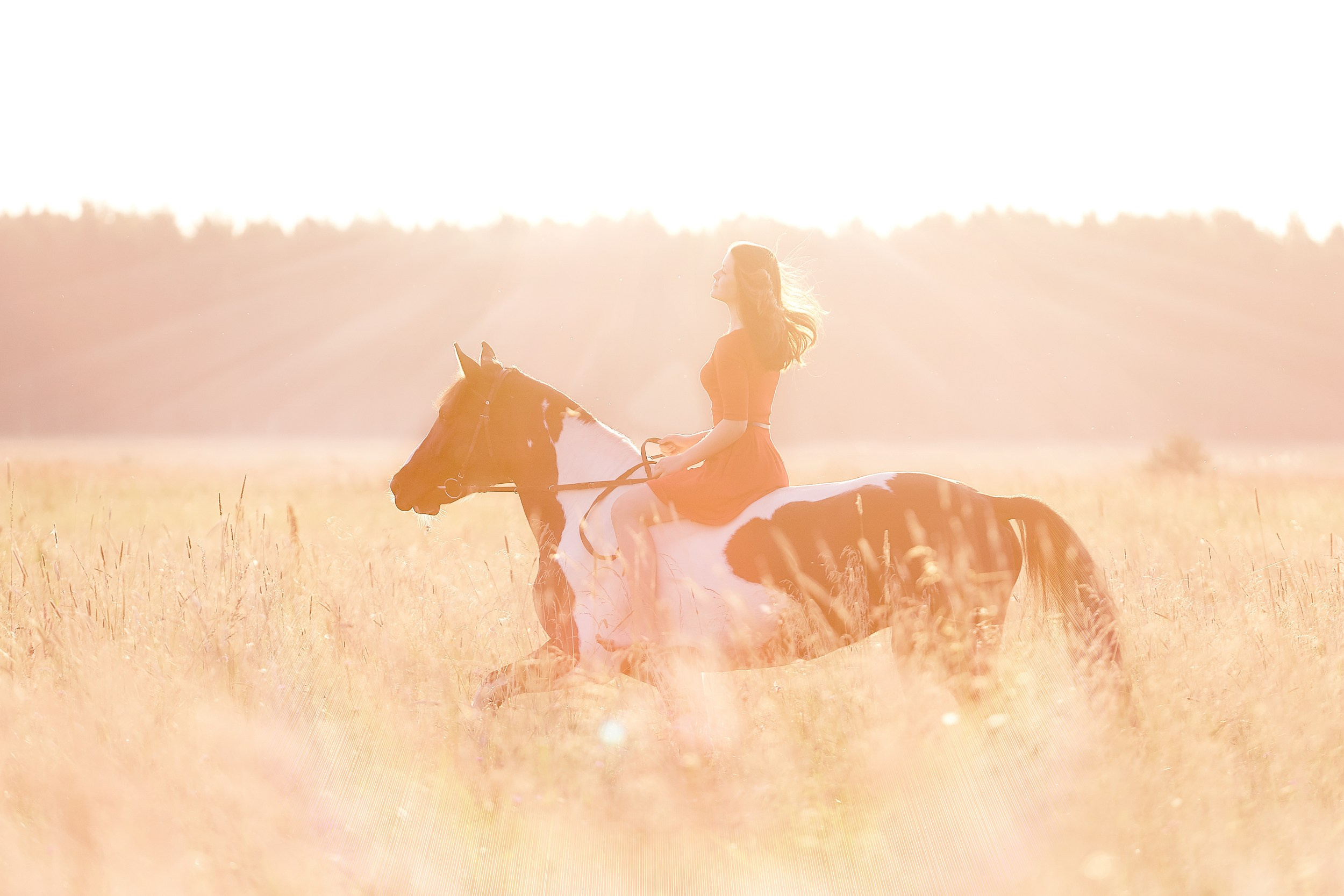 Фотосессия с лошадьми Фотограф Михаил Семенов, г. Ярославль
