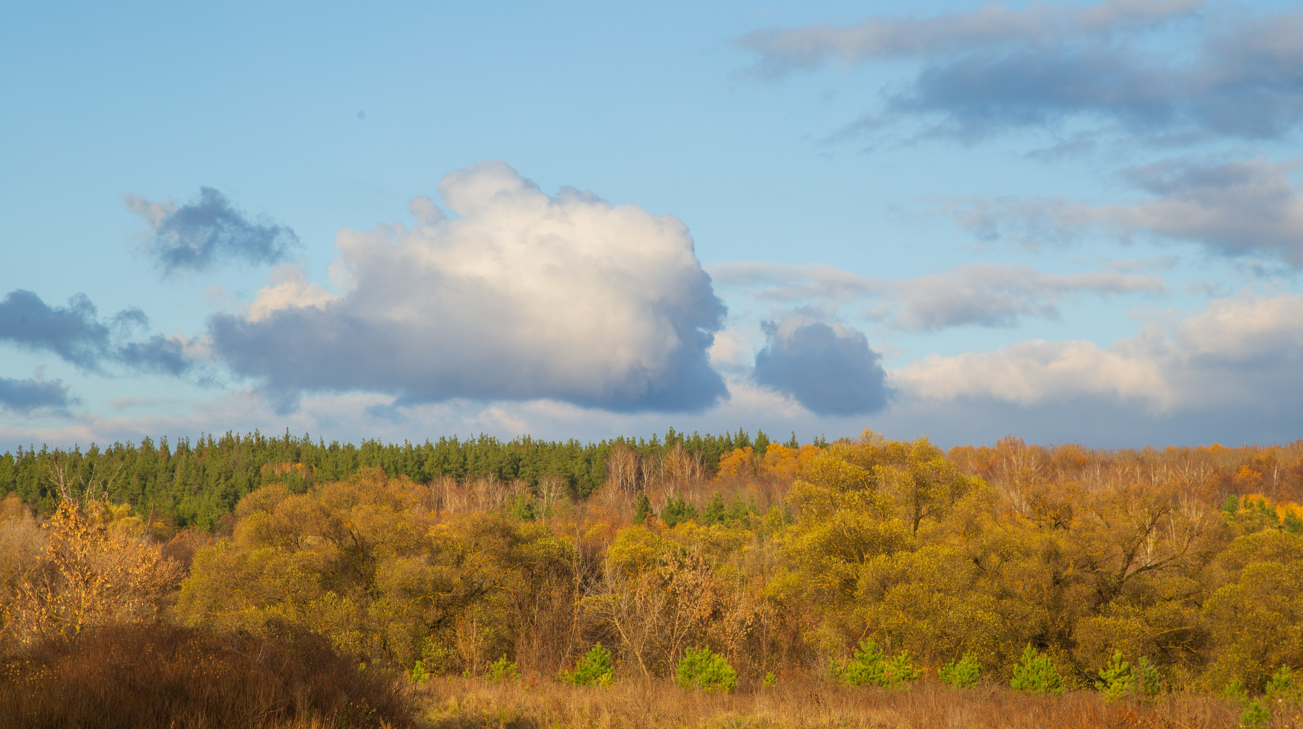 ТВОРЧЕСТВО. Творческая студия АЛНИфото