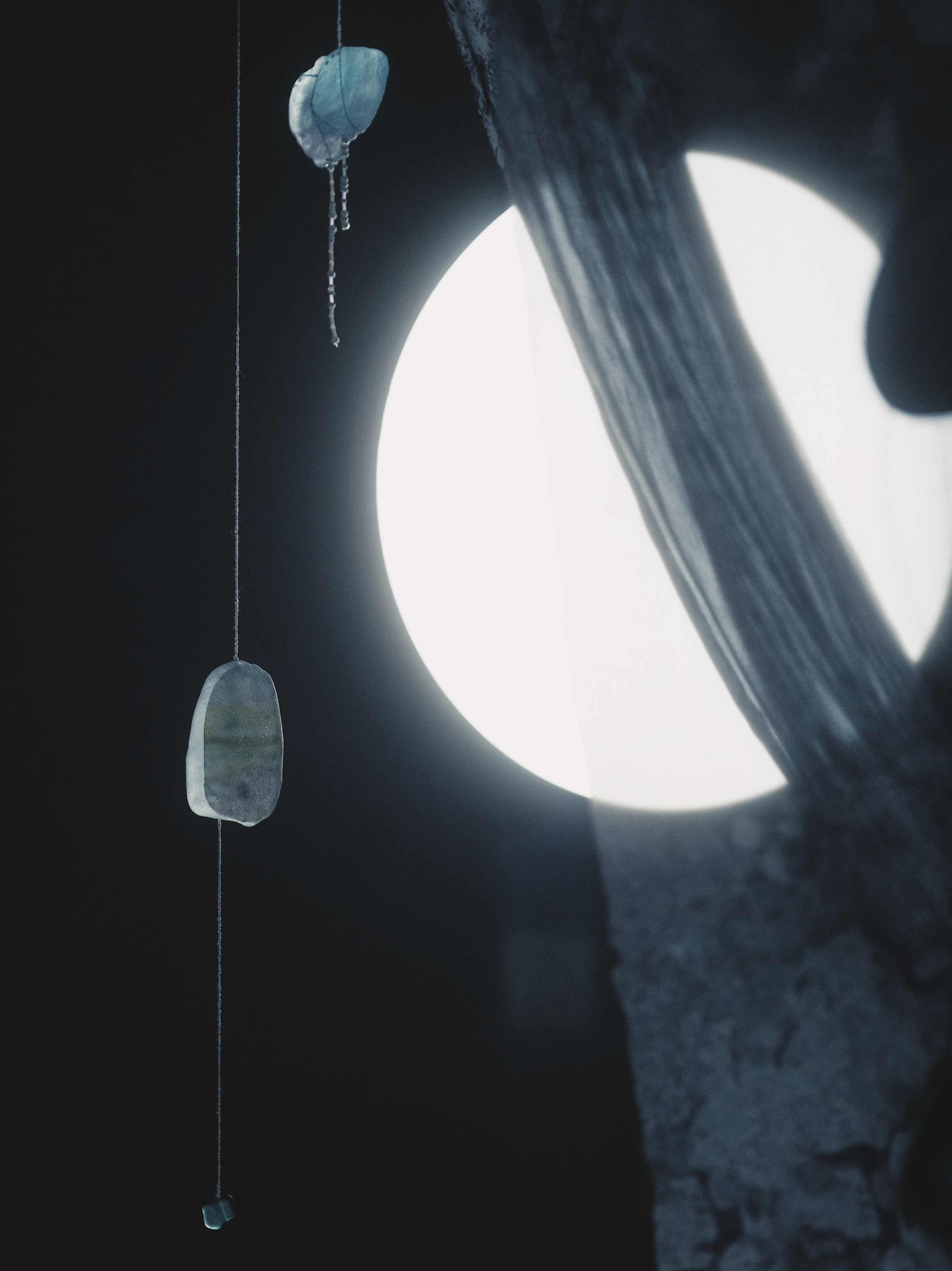 The Shore. Elina Gusarova