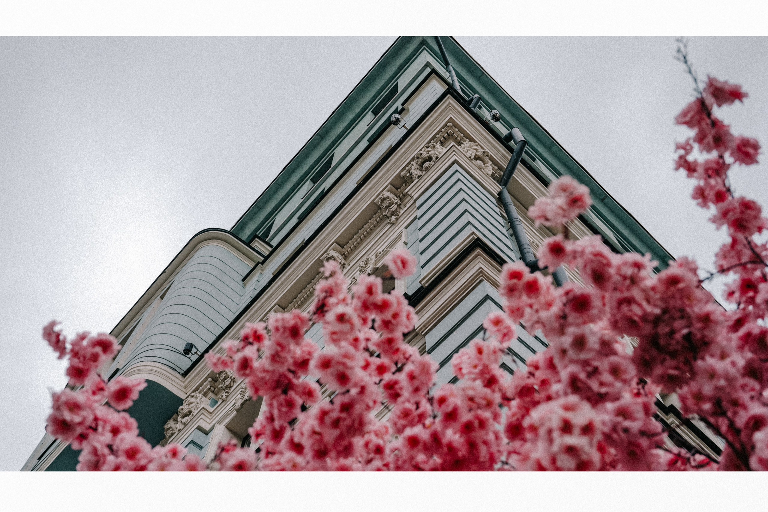 Свадьба для двоих с прогулкой в The St. Regis Москва Никольская 5*. Свадебный и семейный фотограф Виктория Носачёва. Щелково, Москва и МО